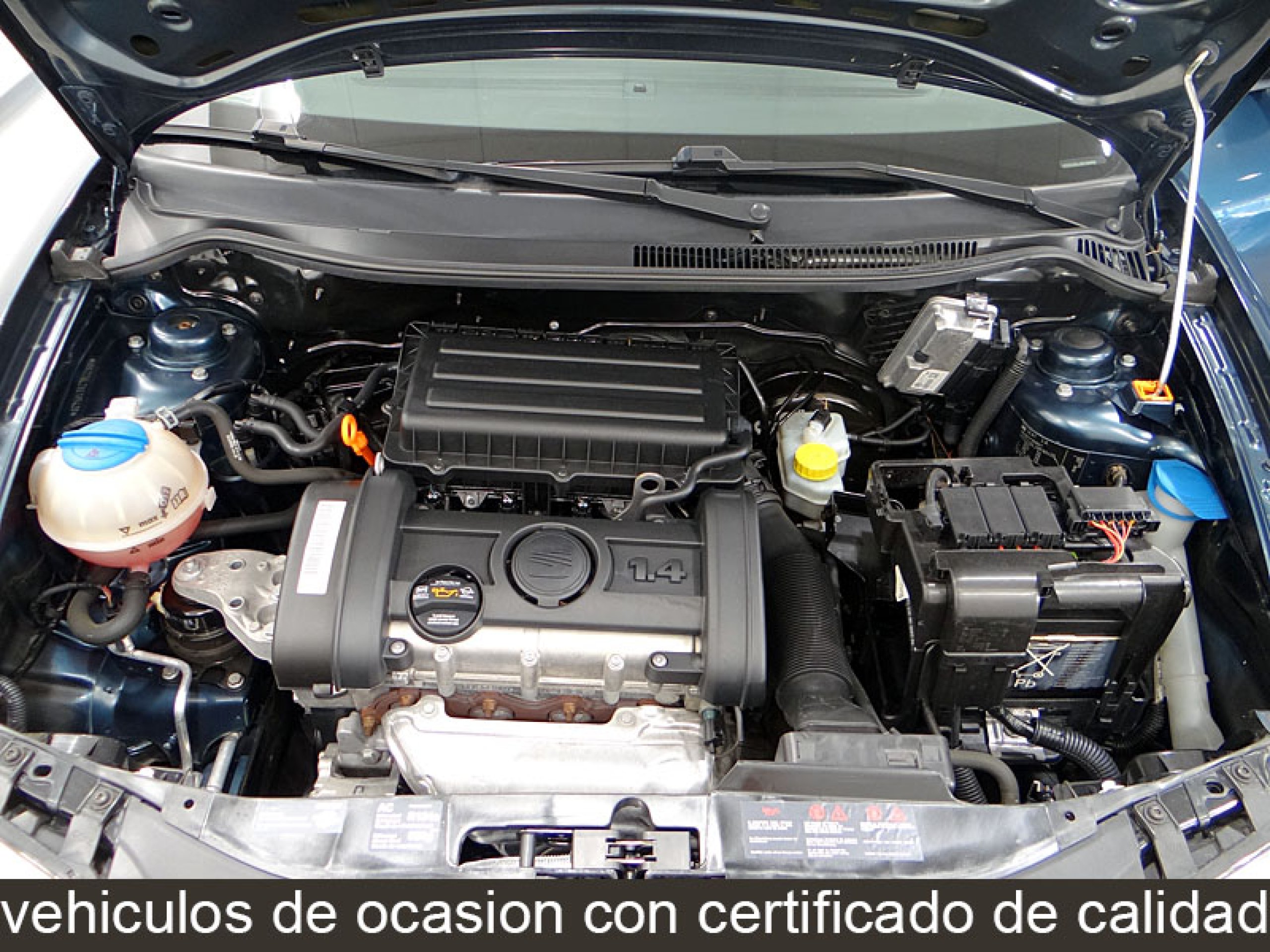 Foto Seat Ibiza 13