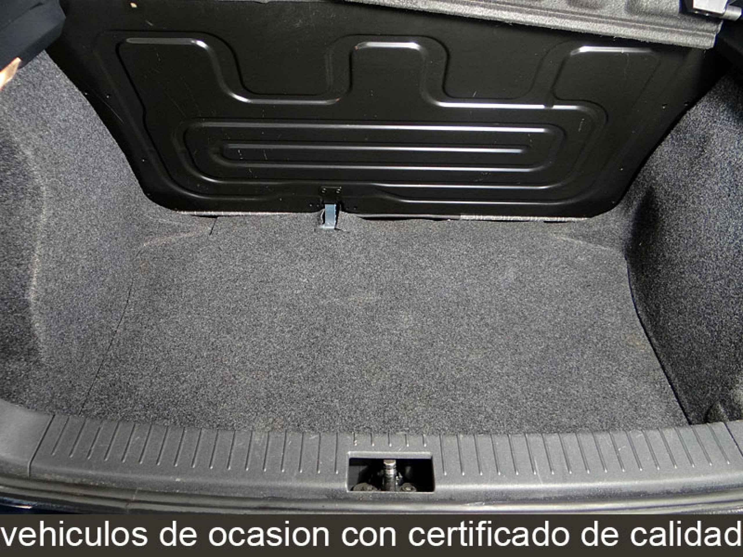 Foto Seat Ibiza 14