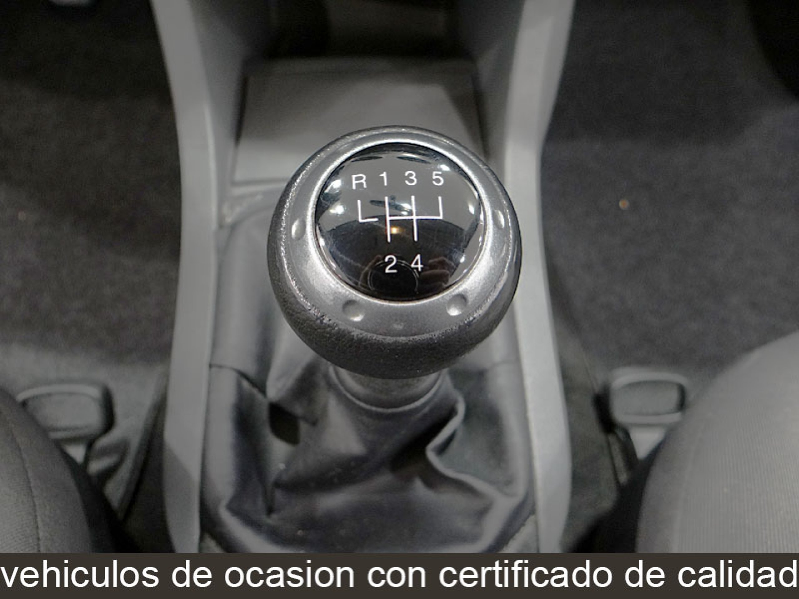 Foto Seat Ibiza 31