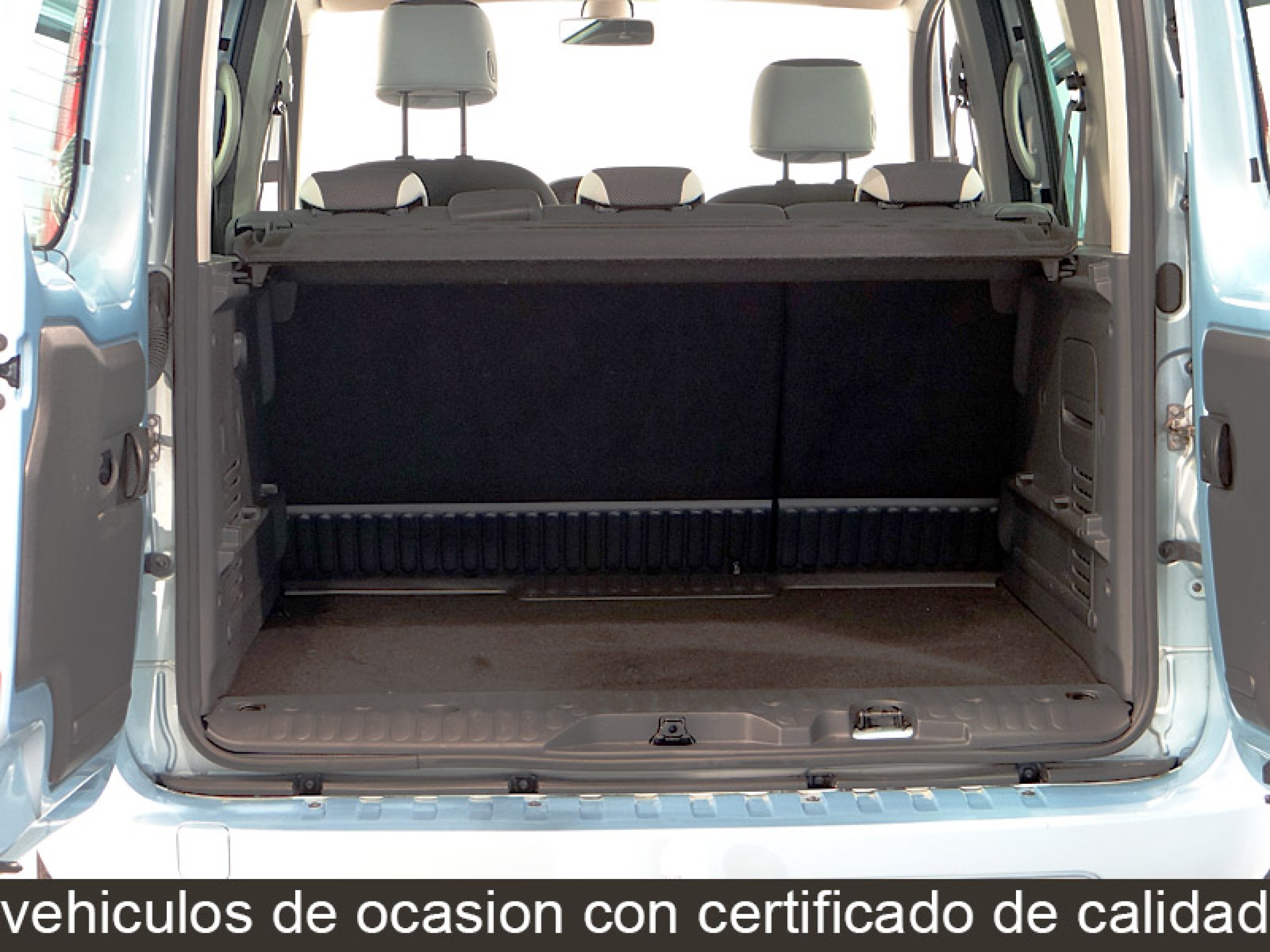 Foto Renault Kangoo 18