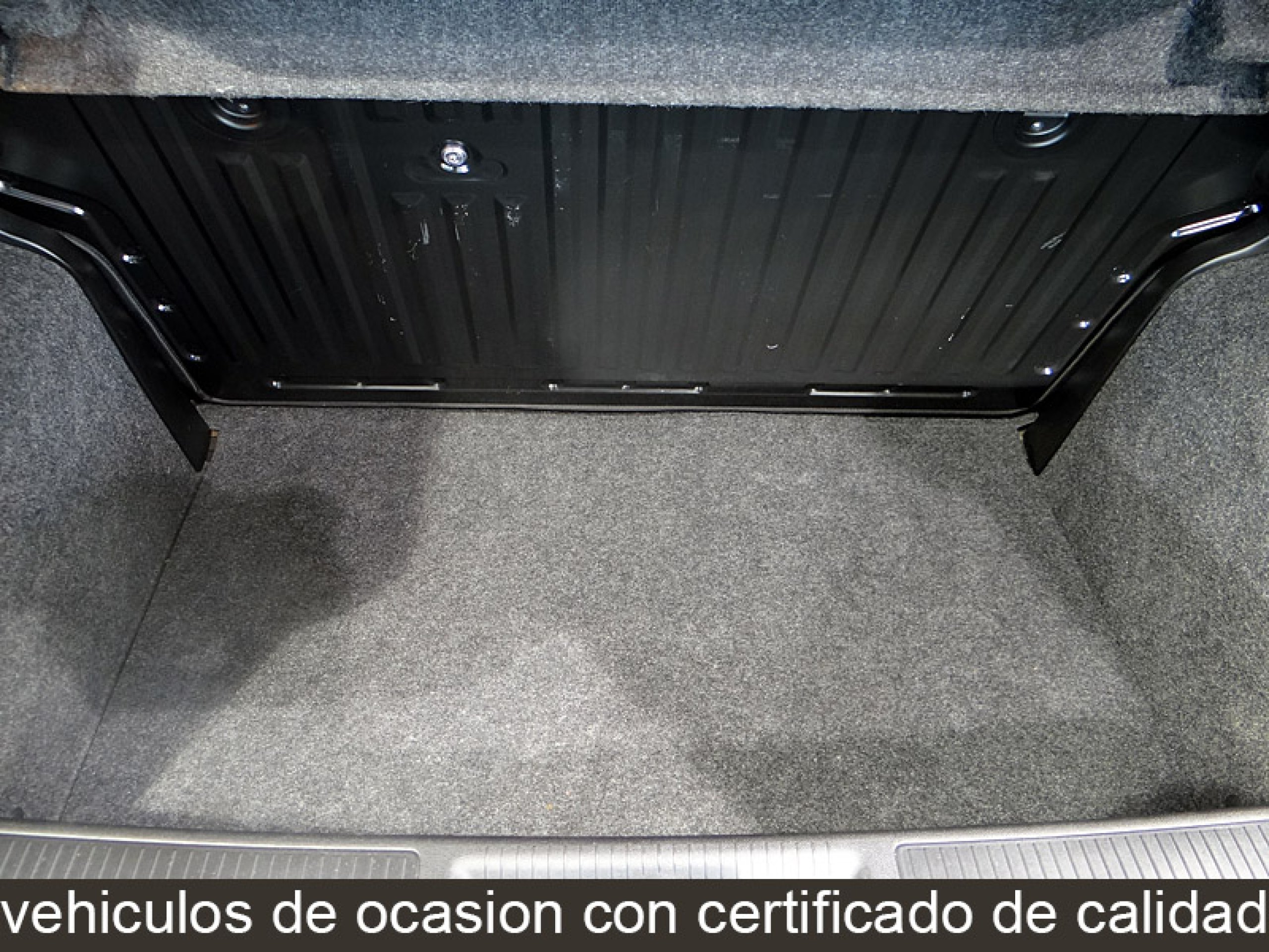 Foto Fiat Punto 13