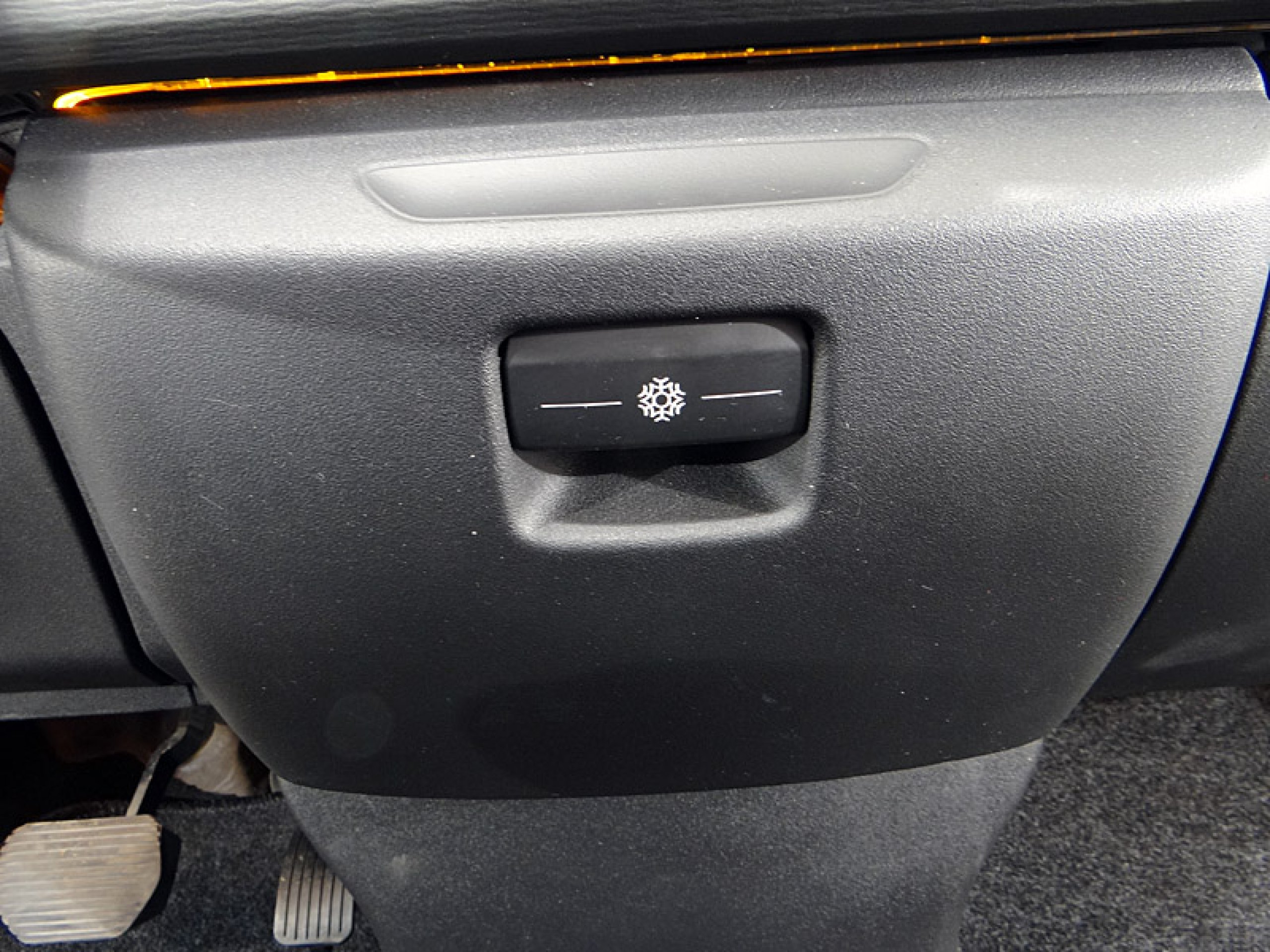 Foto Citroen C4 Picasso 38