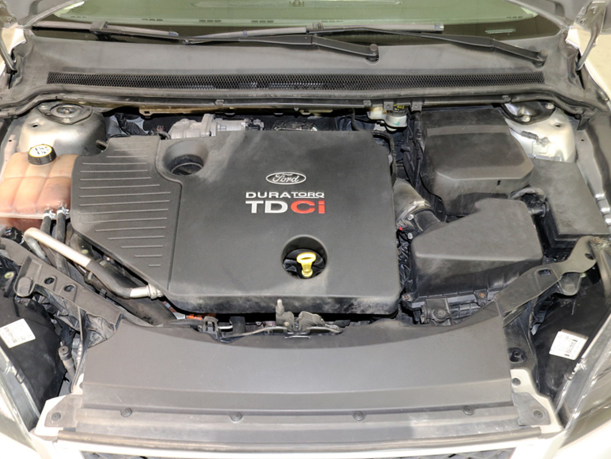 Foto Ford Focus 8