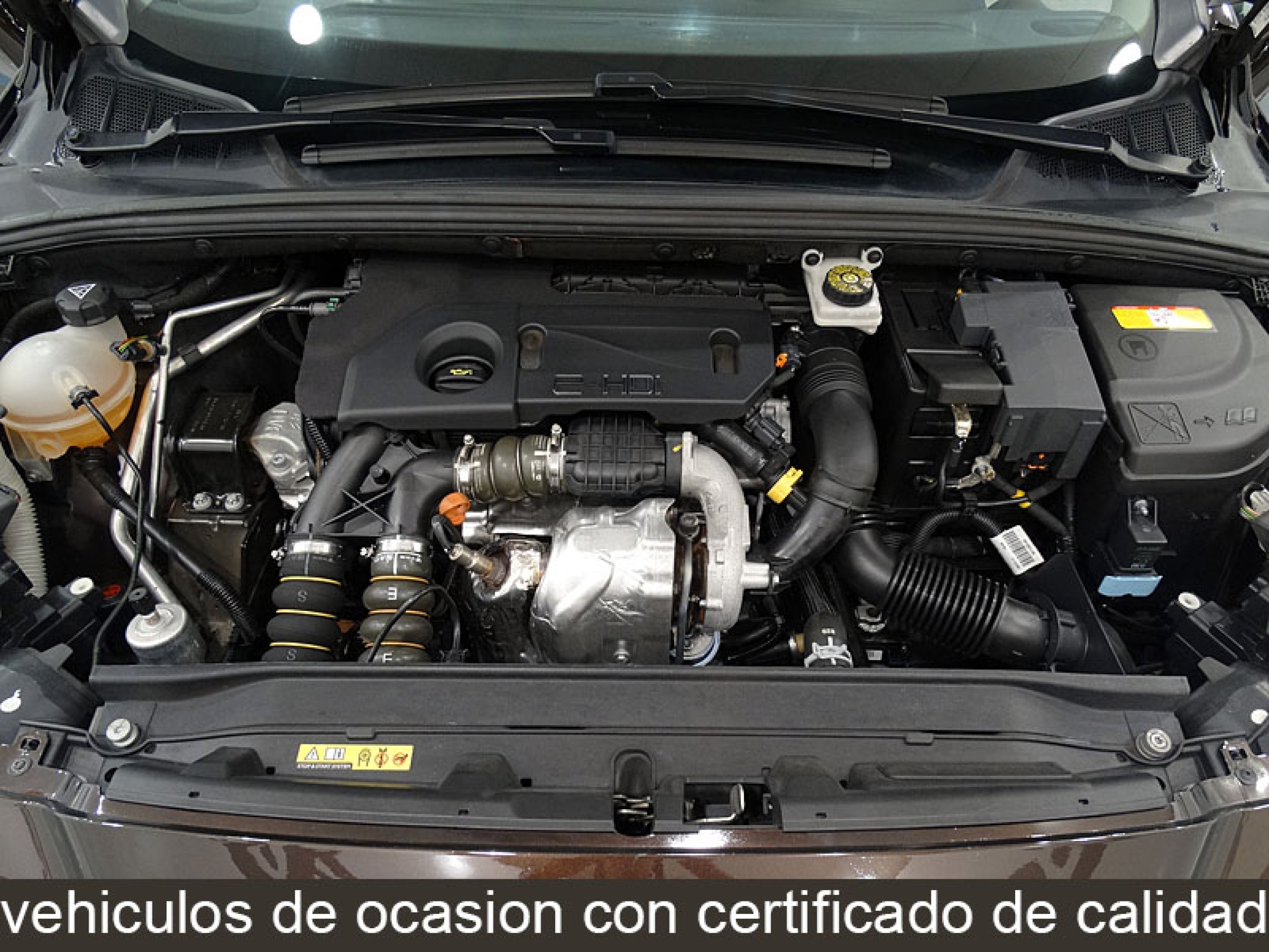 Foto Peugeot 308 17