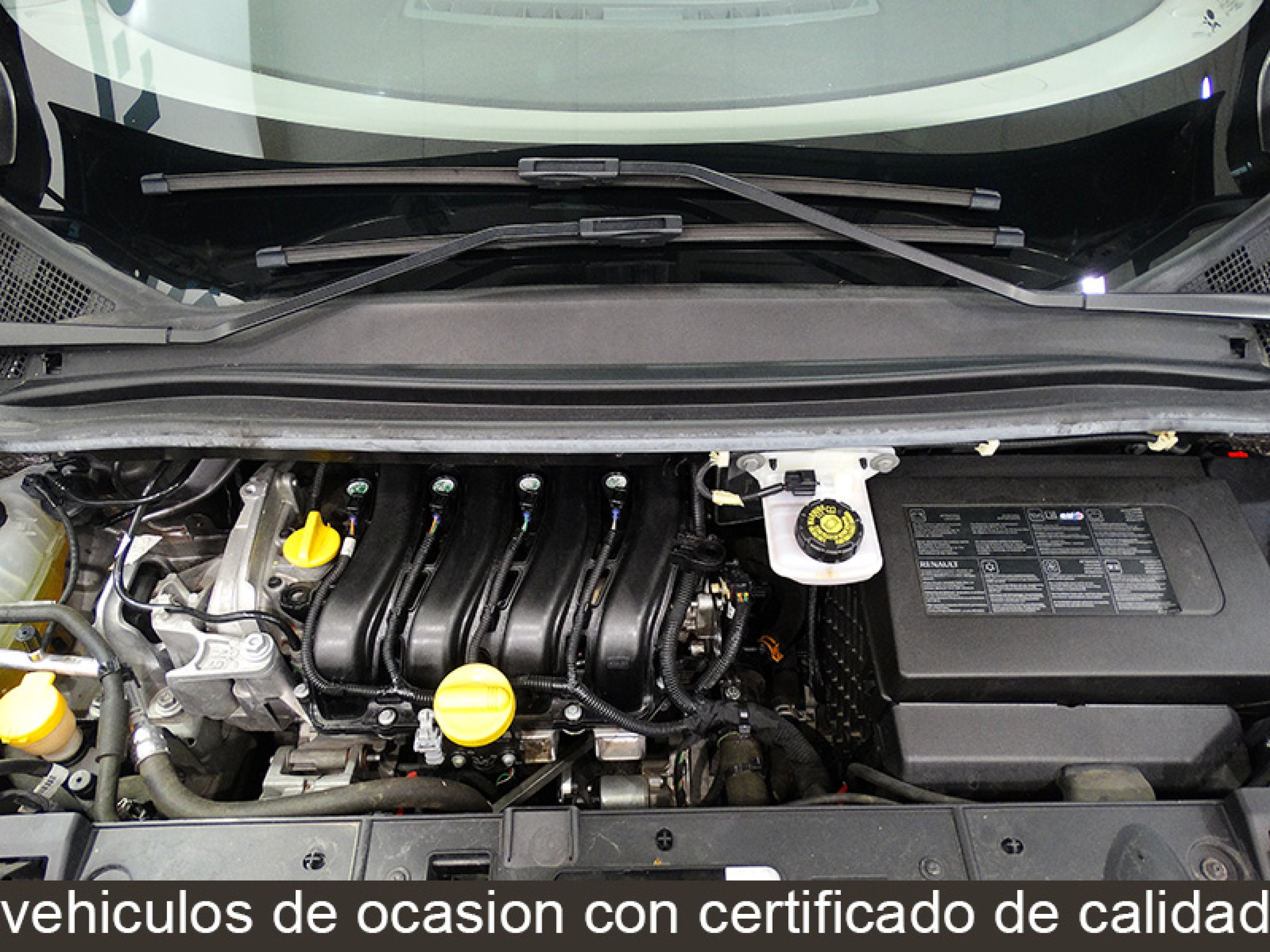 Foto Renault Scenic 15