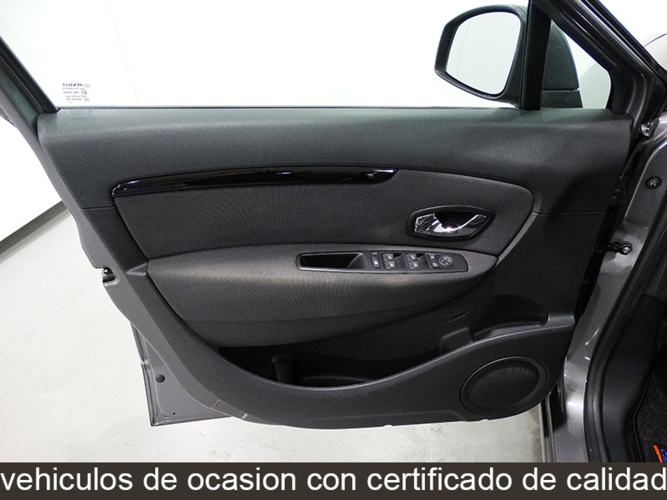 Foto Renault Scenic 21