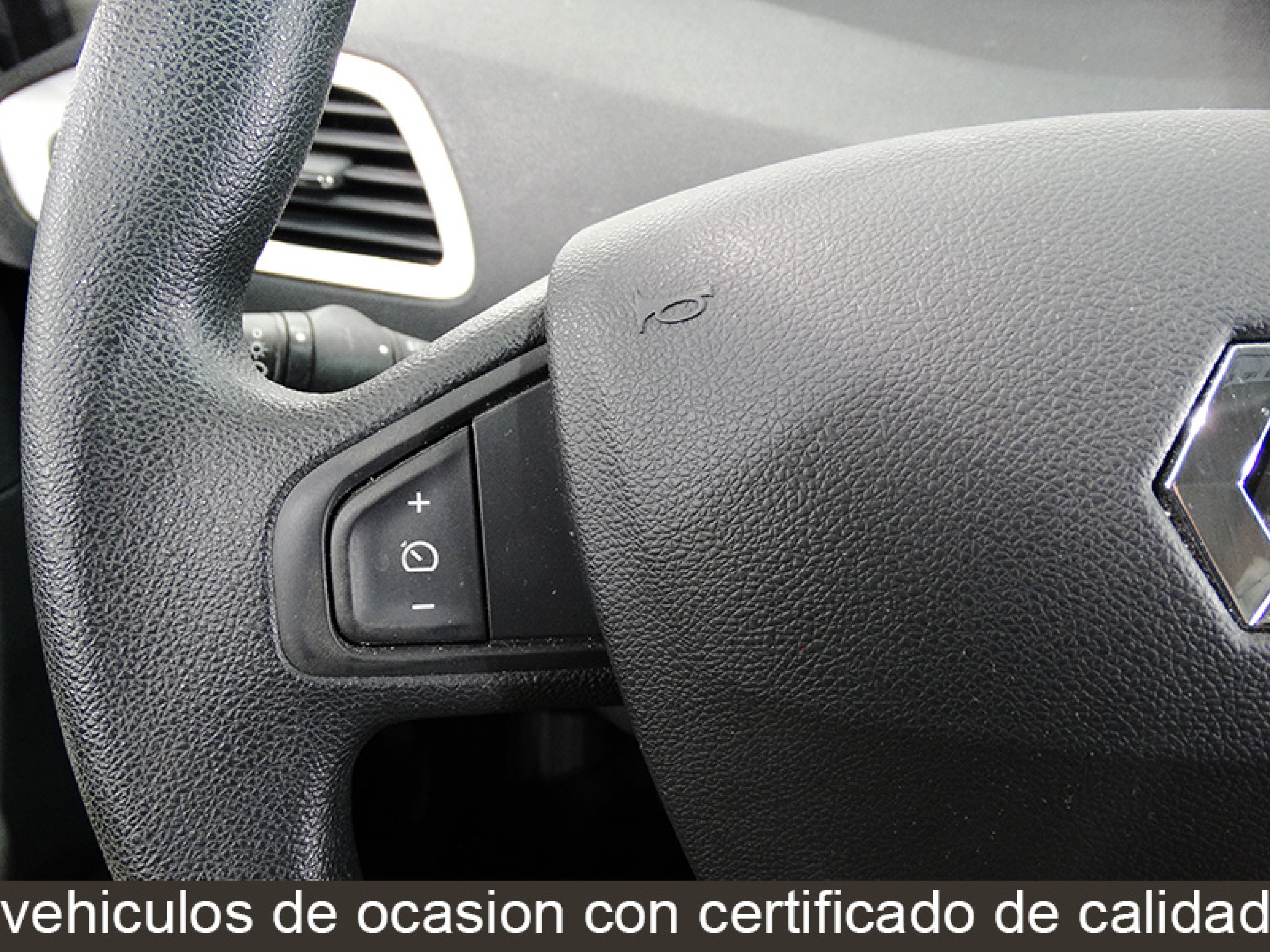 Foto Renault Scenic 27