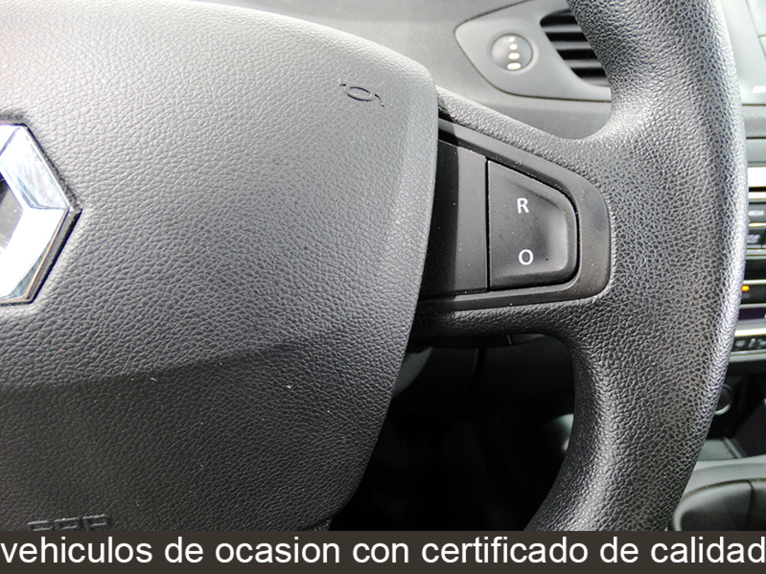 Foto Renault Scenic 28