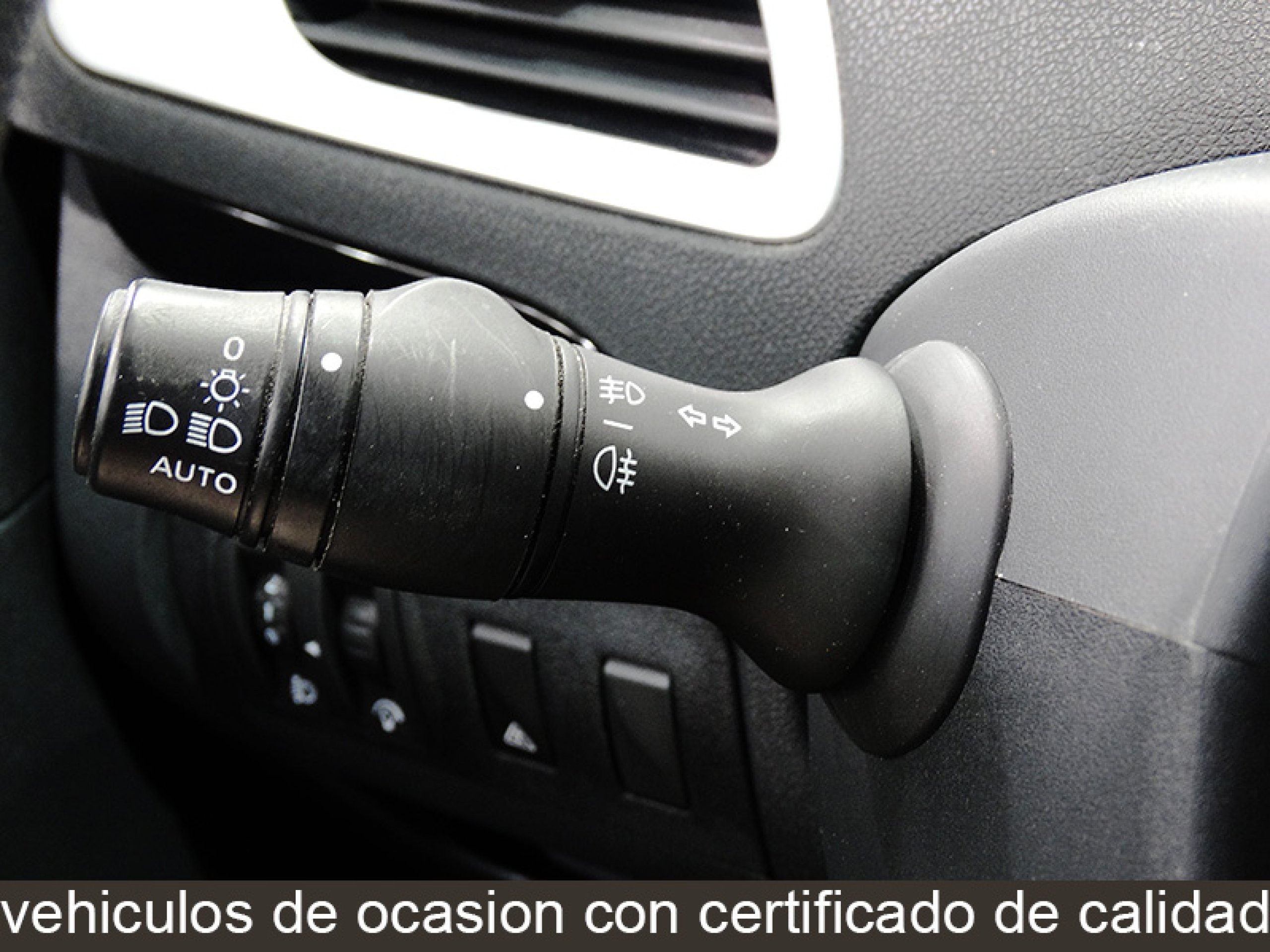Foto Renault Scenic 29