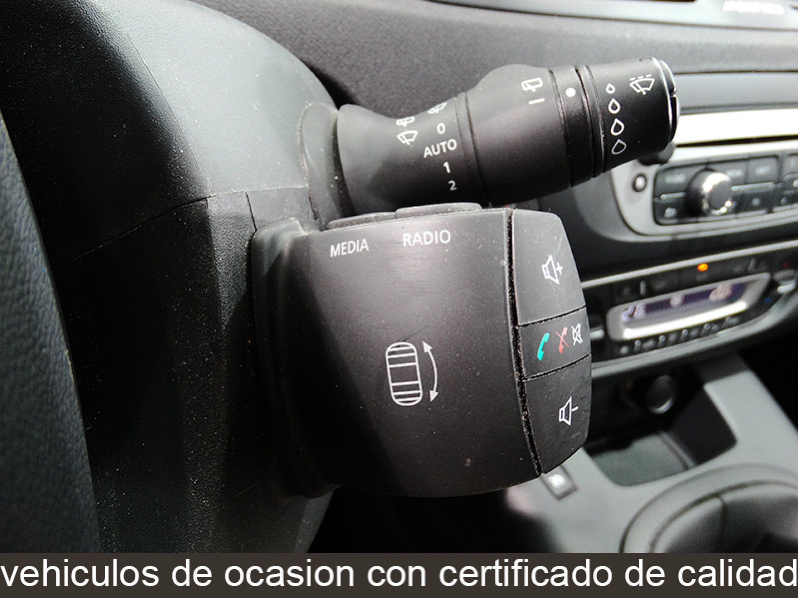 Foto Renault Scenic 30