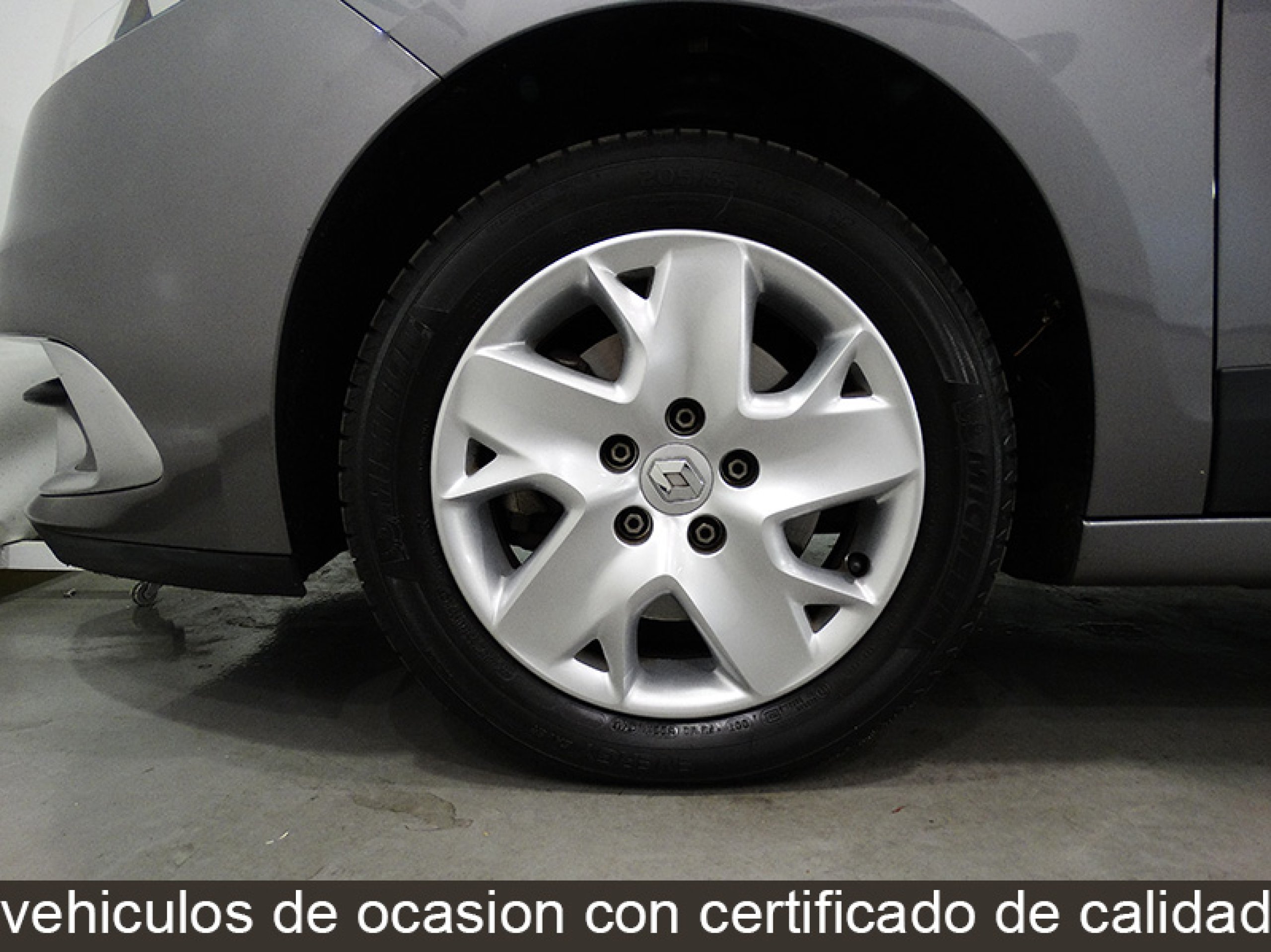 Foto Renault Scenic 33