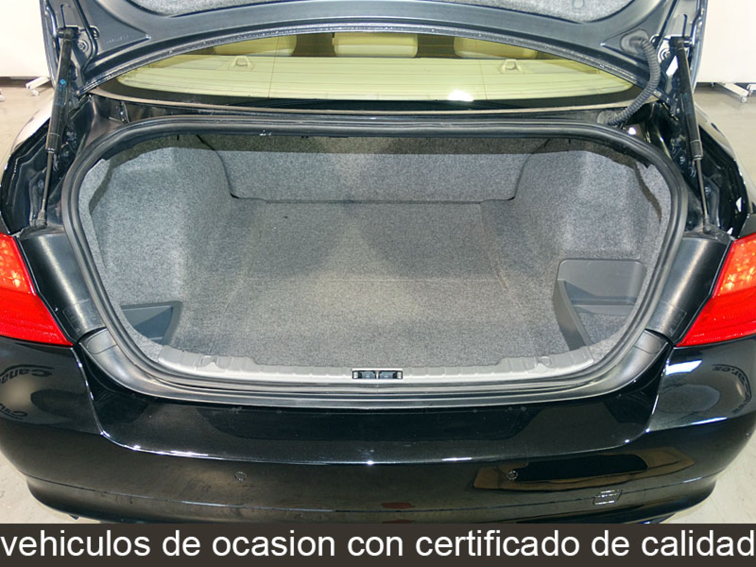 Foto Bmw 318 10