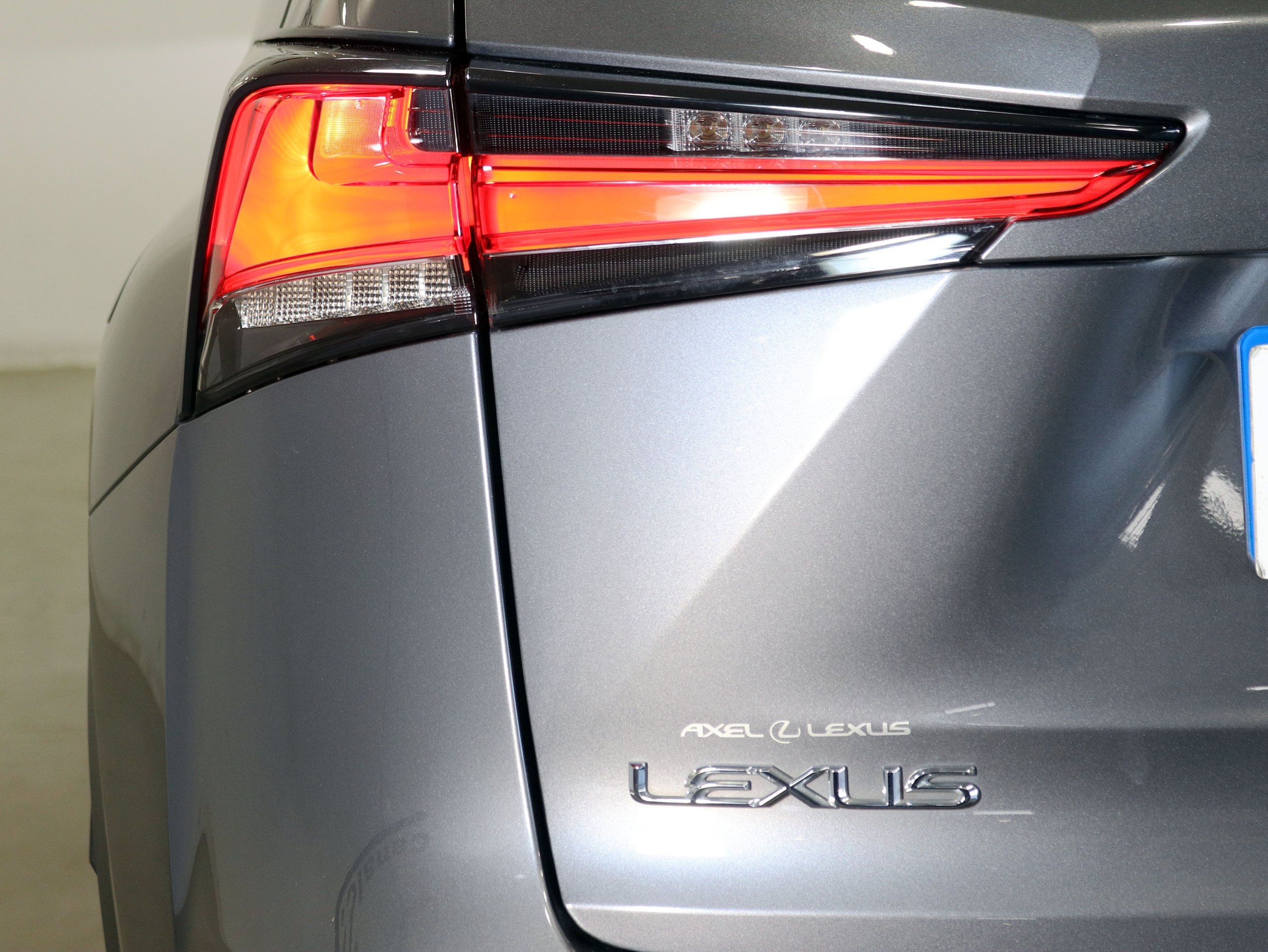Foto Lexus NX 11