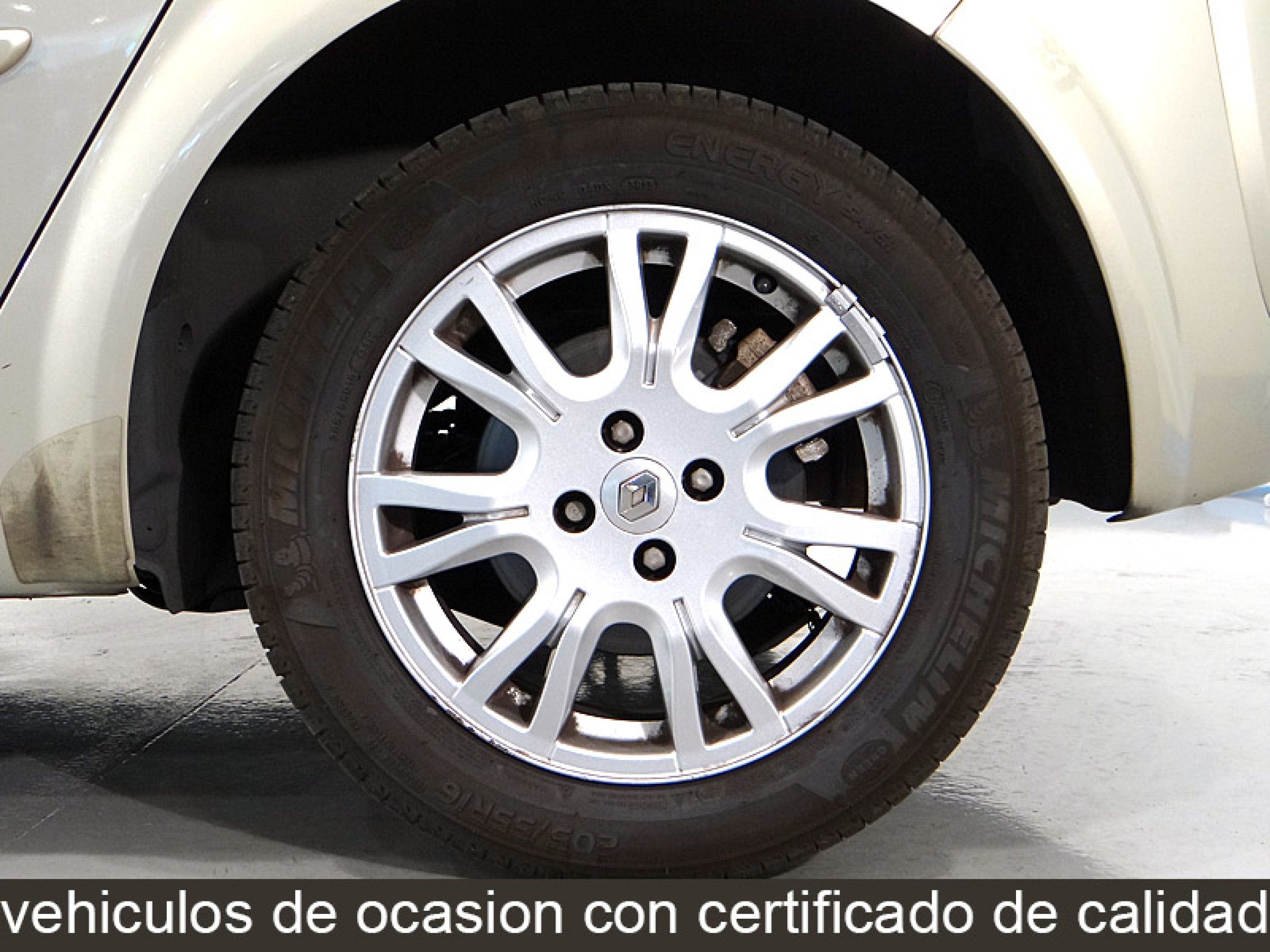 Foto Renault Scenic 19