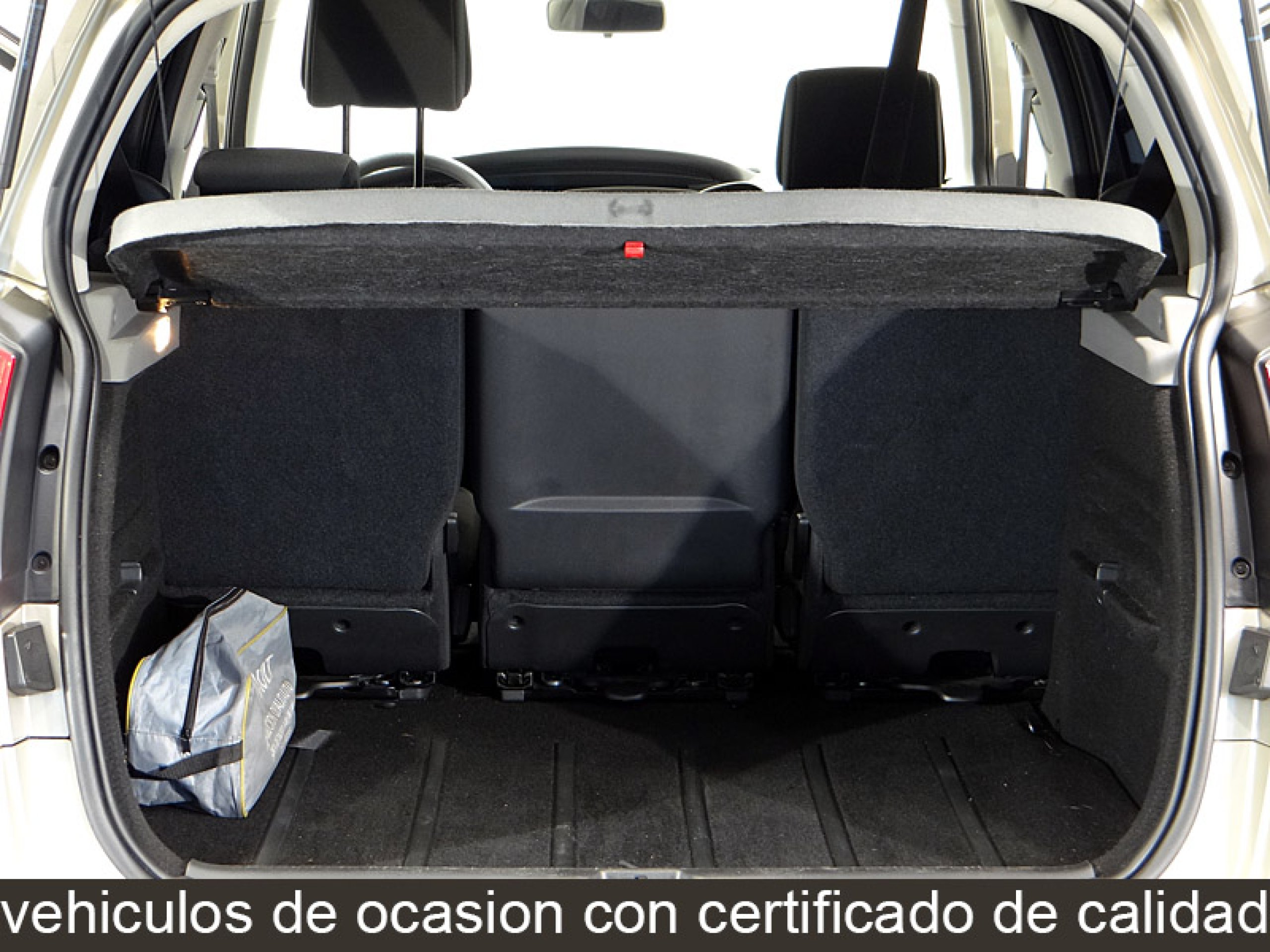 Foto Renault Scenic 20