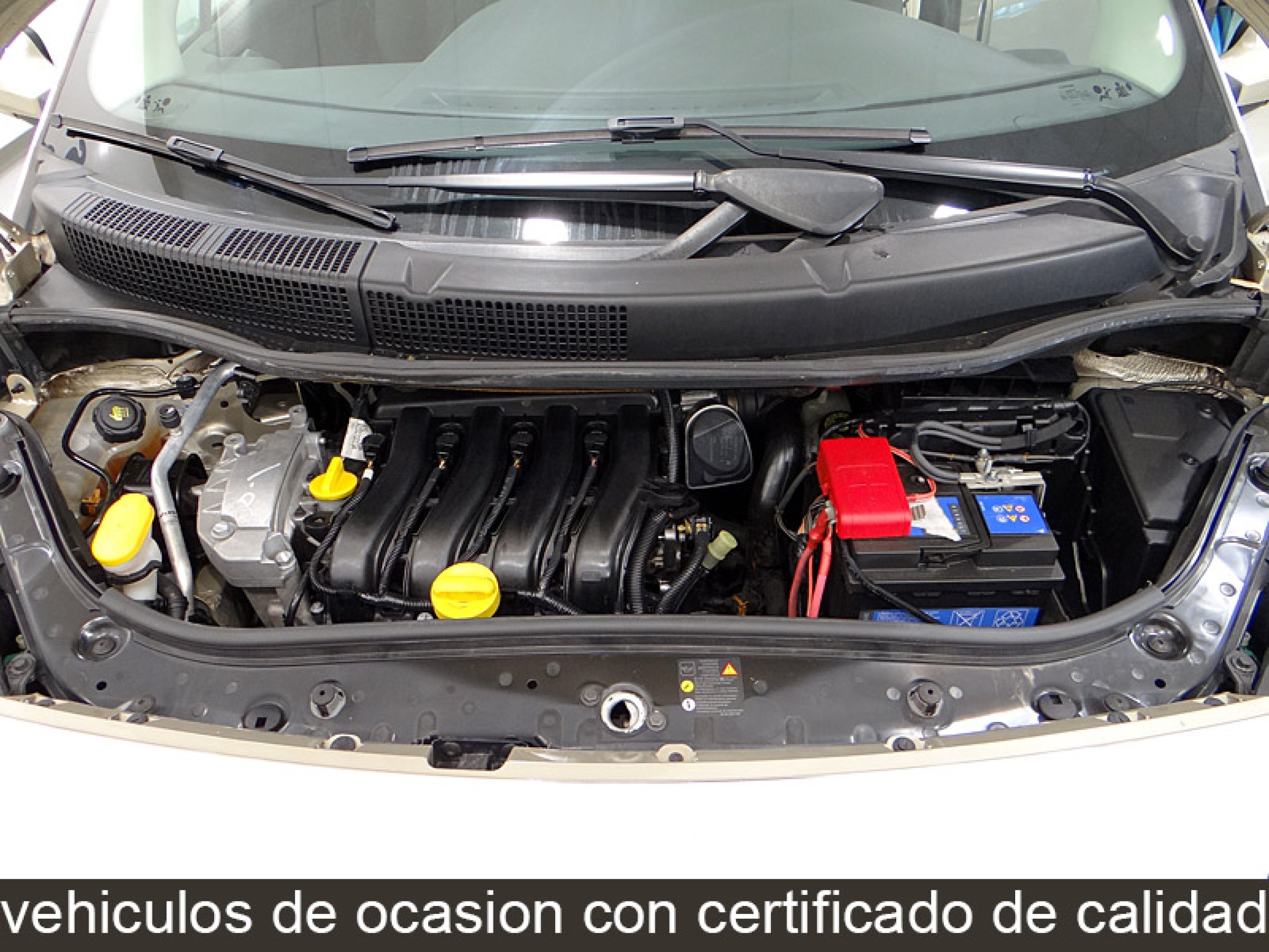 Foto Renault Scenic 21