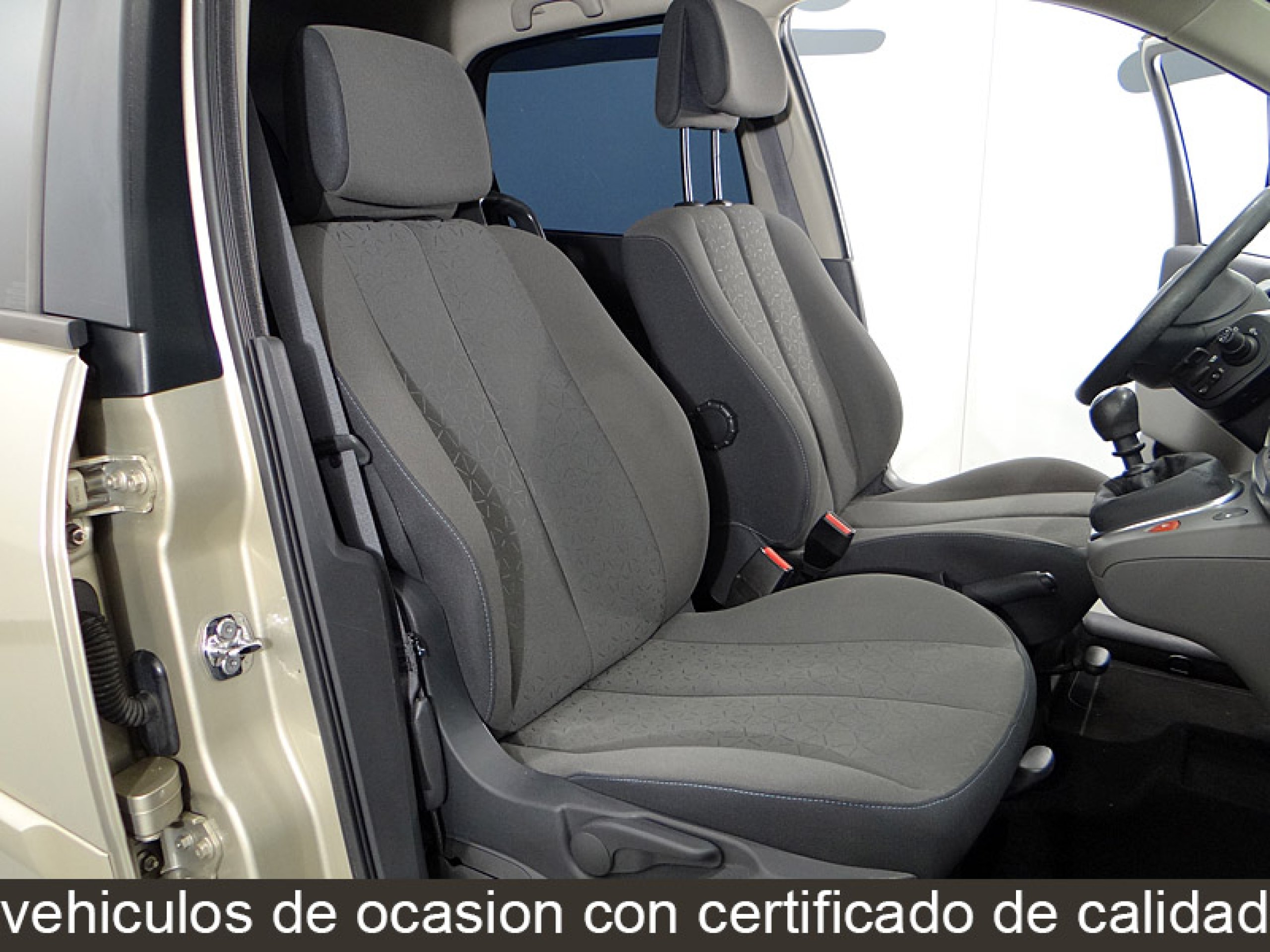 Foto Renault Scenic 23