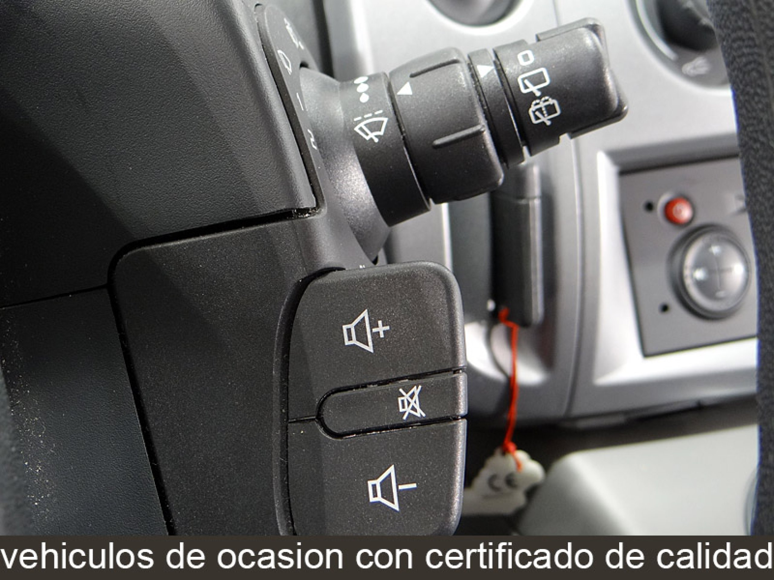 Foto Renault Scenic 38