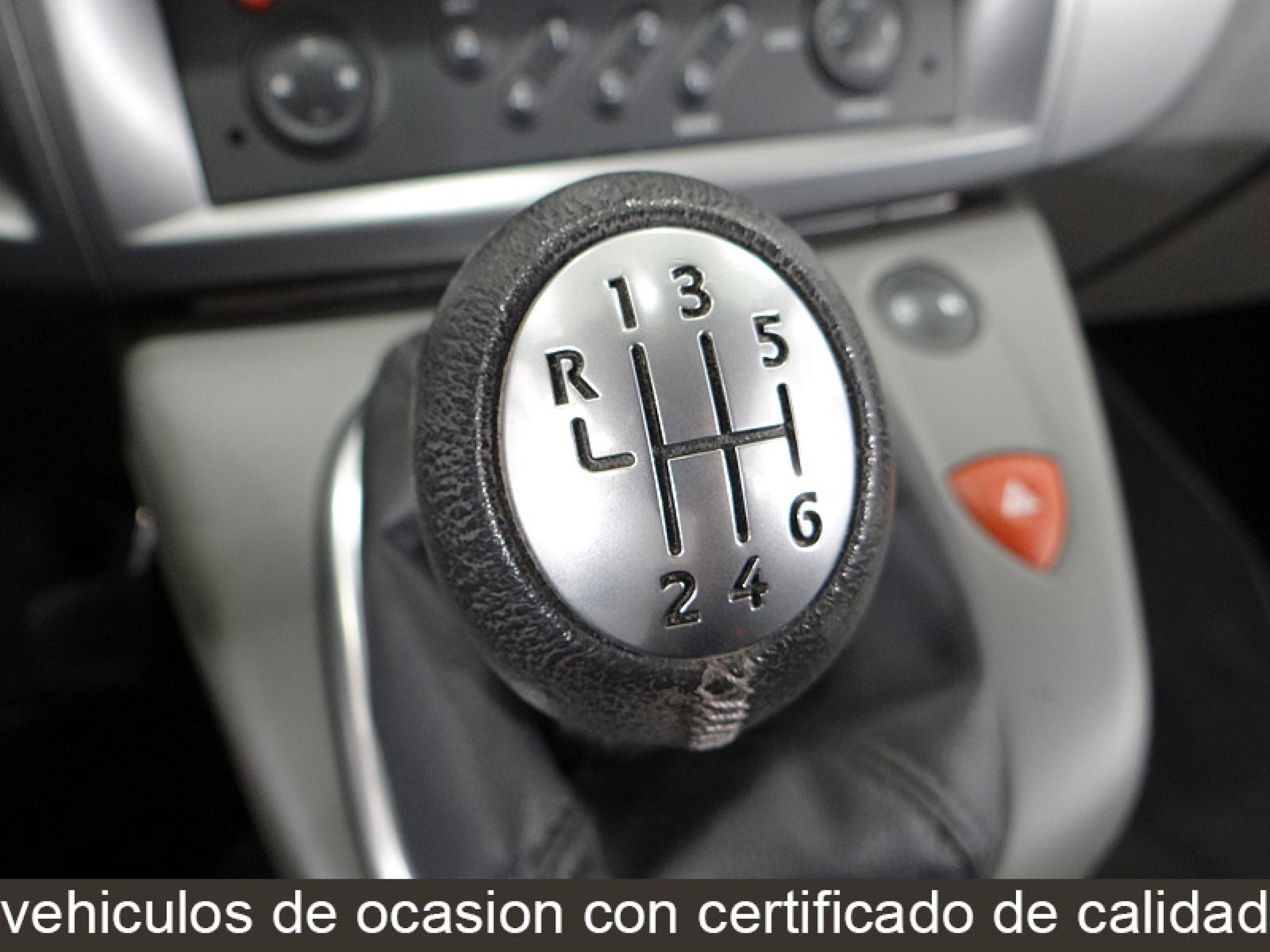 Foto Renault Scenic 39