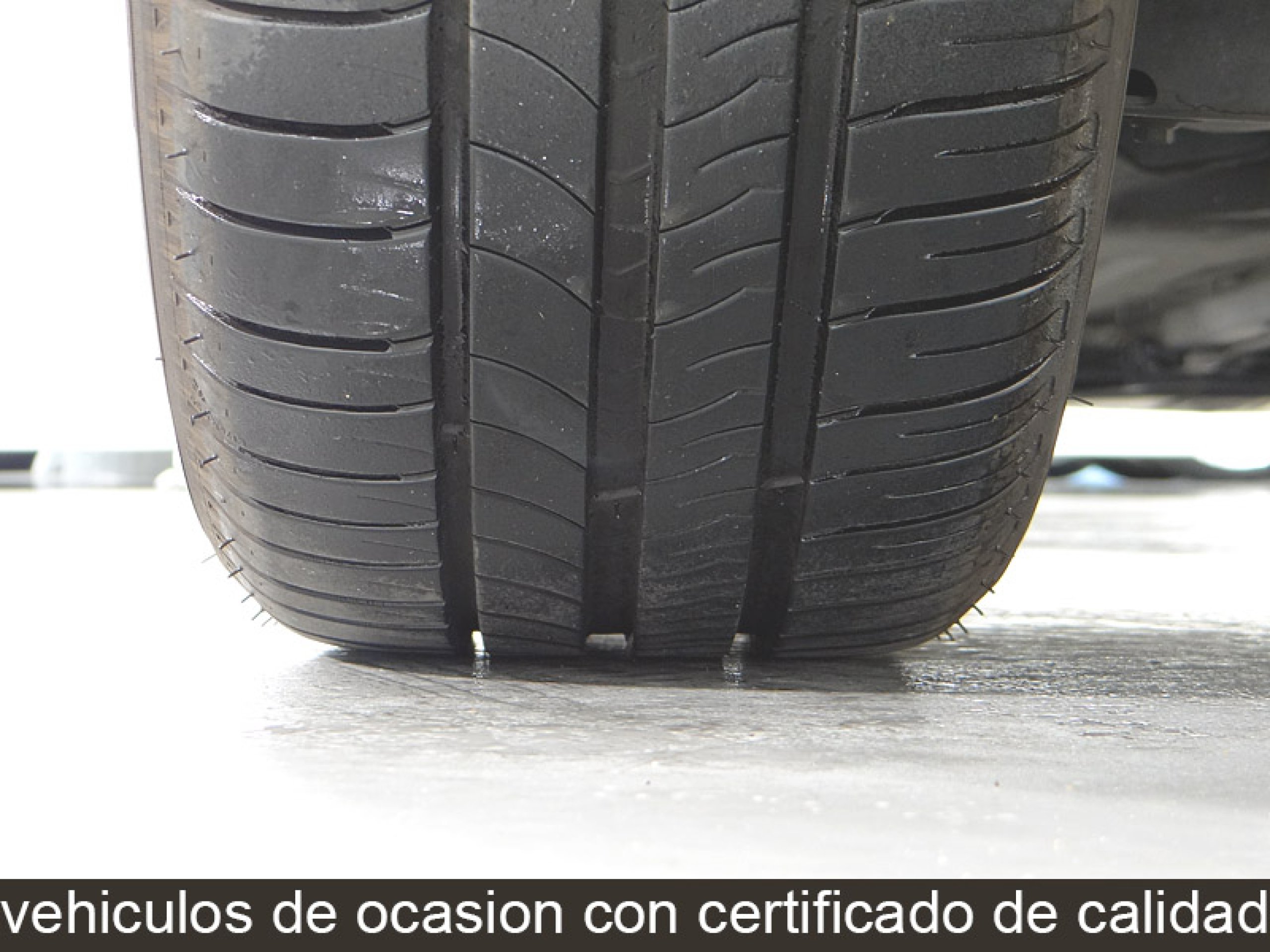 Foto Renault Scenic 41