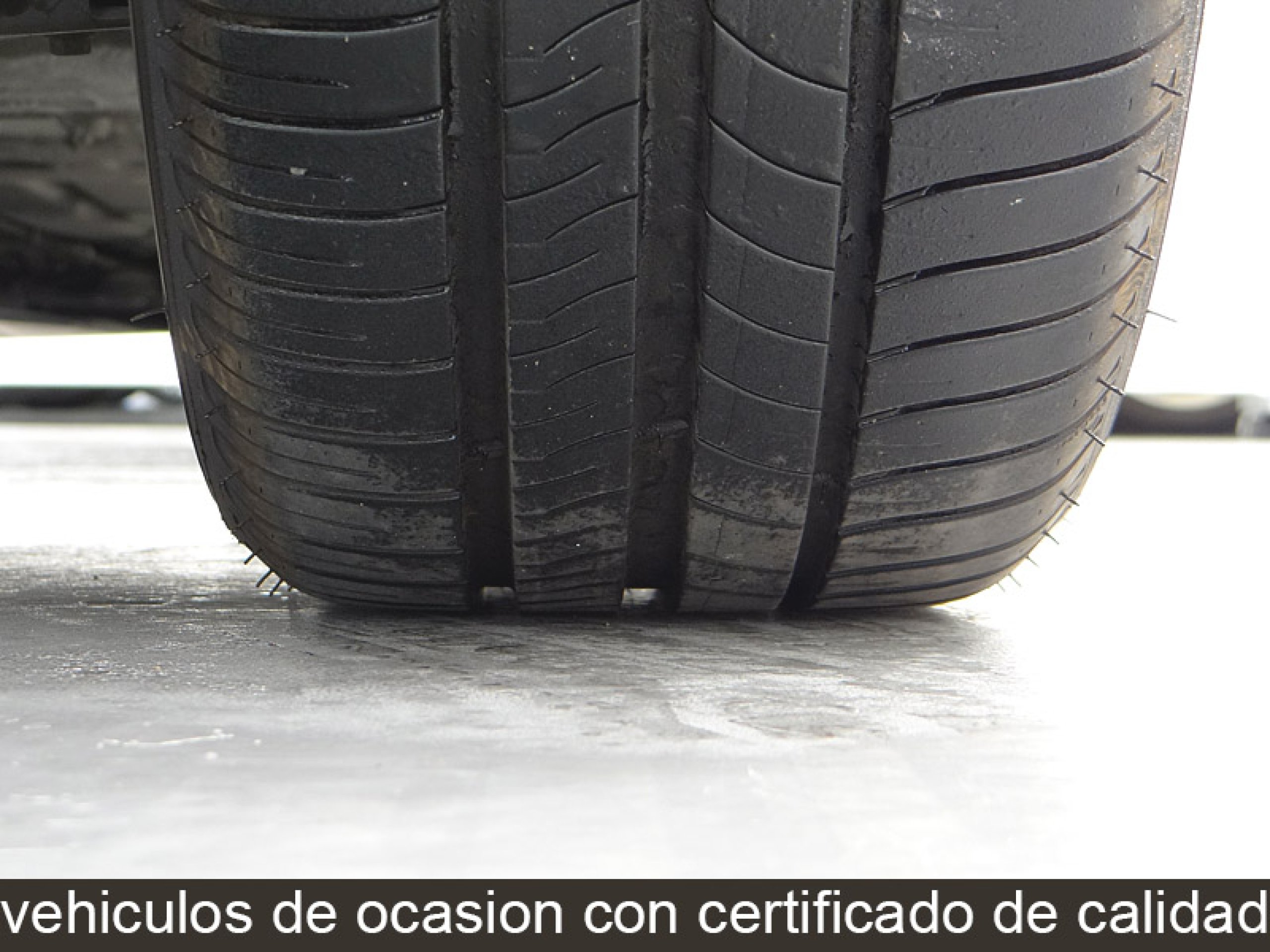 Foto Renault Scenic 42