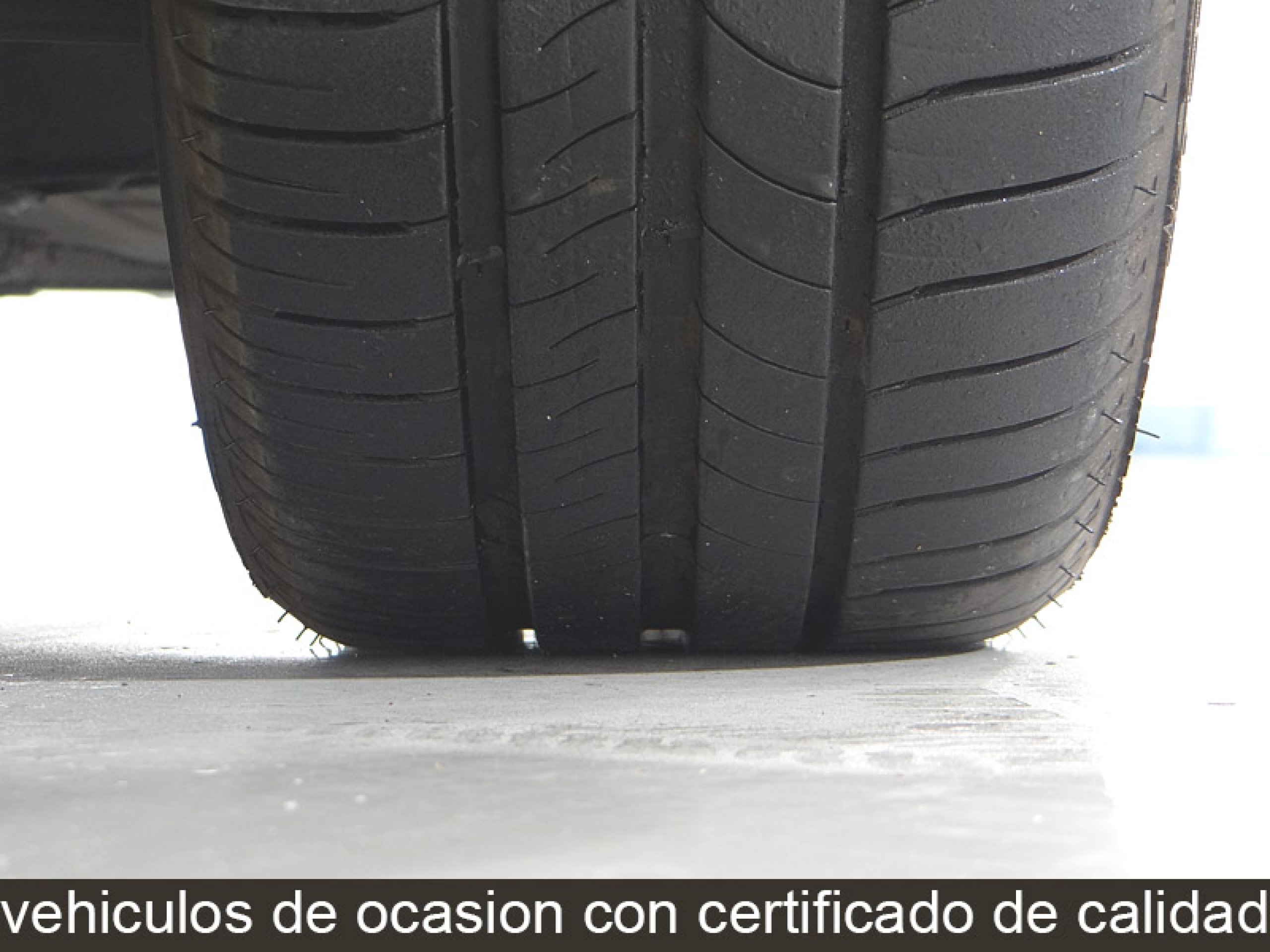 Foto Renault Scenic 44