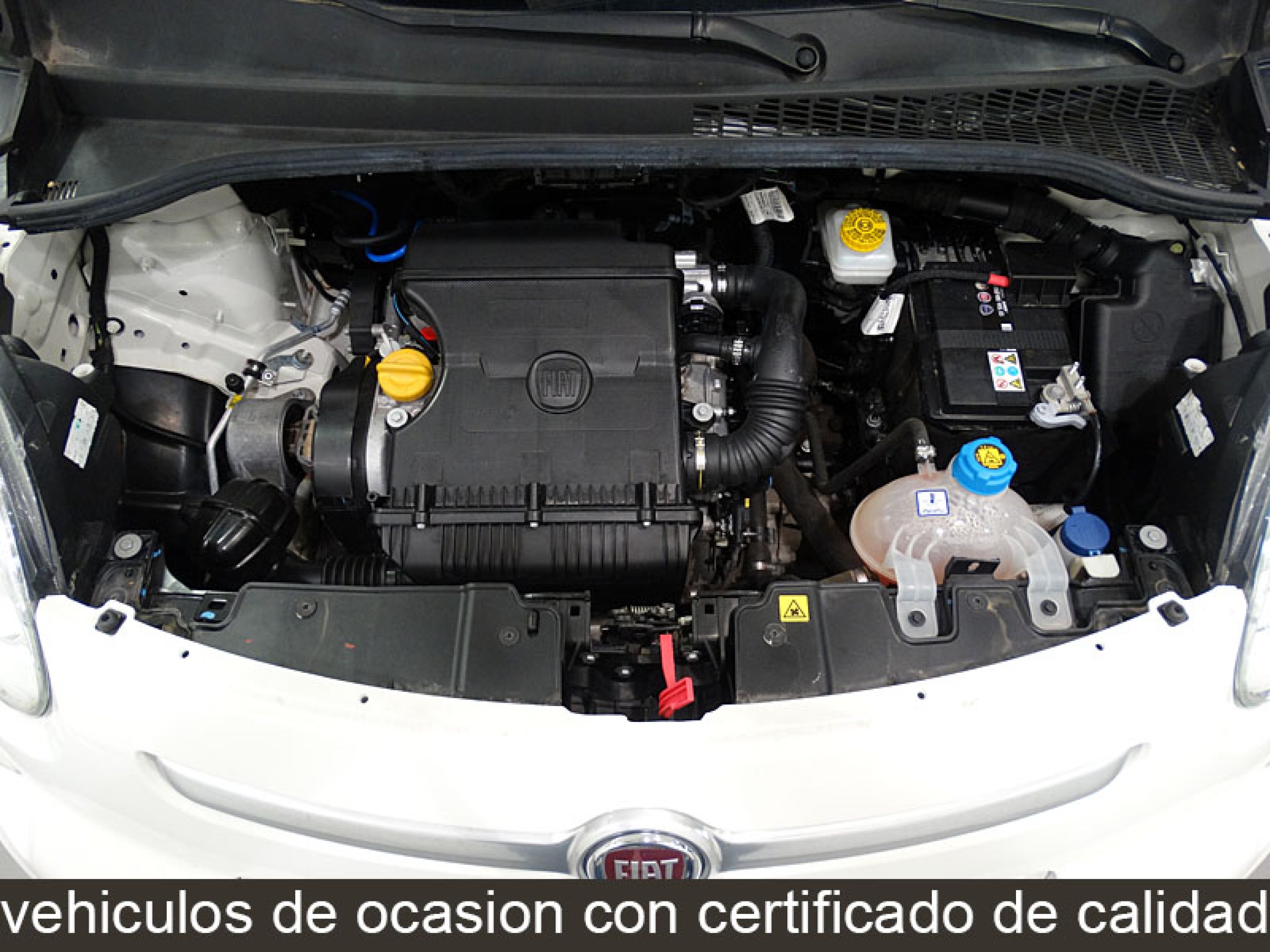 Foto Fiat 500L 11