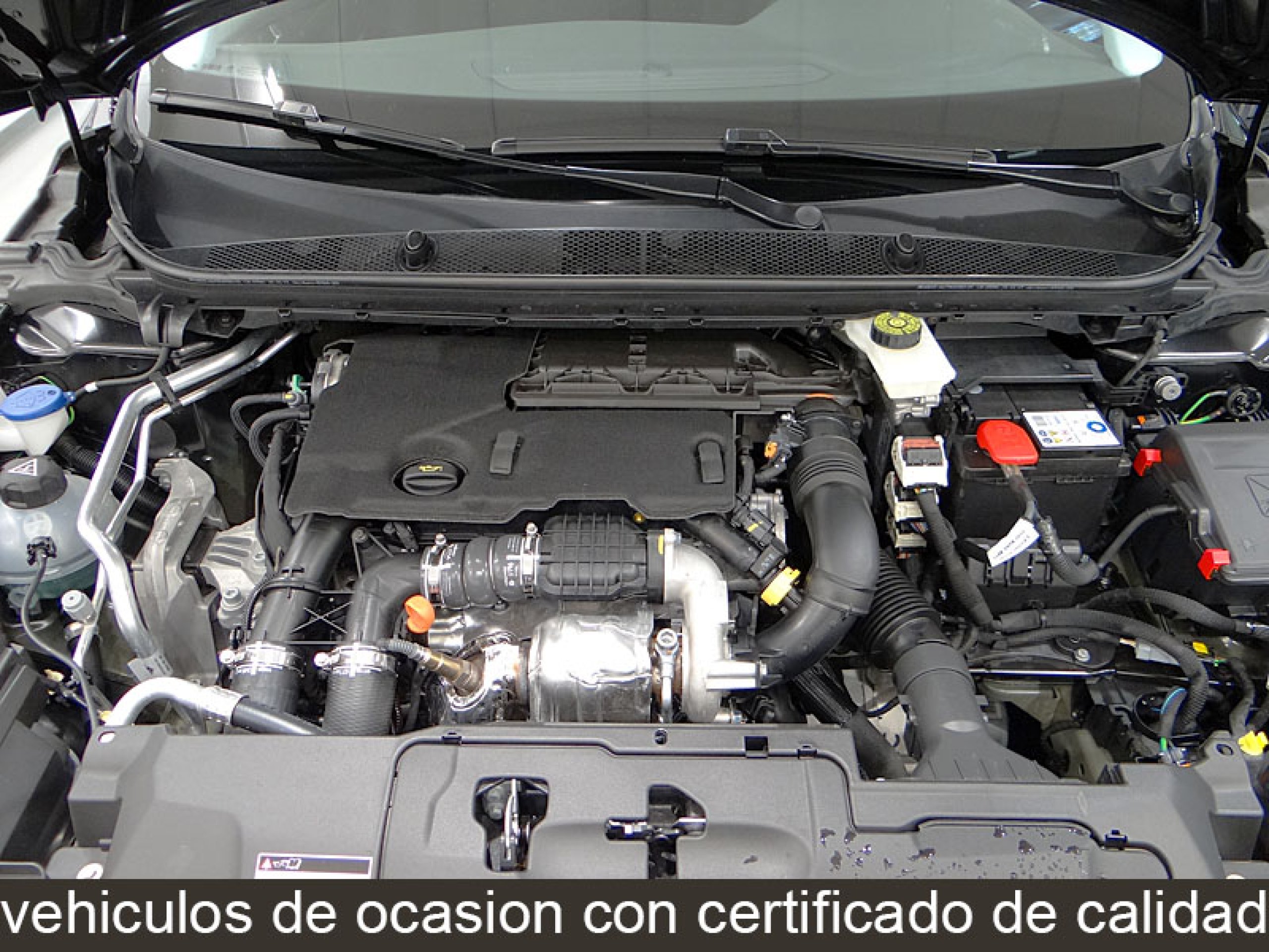 Foto Peugeot 308 13
