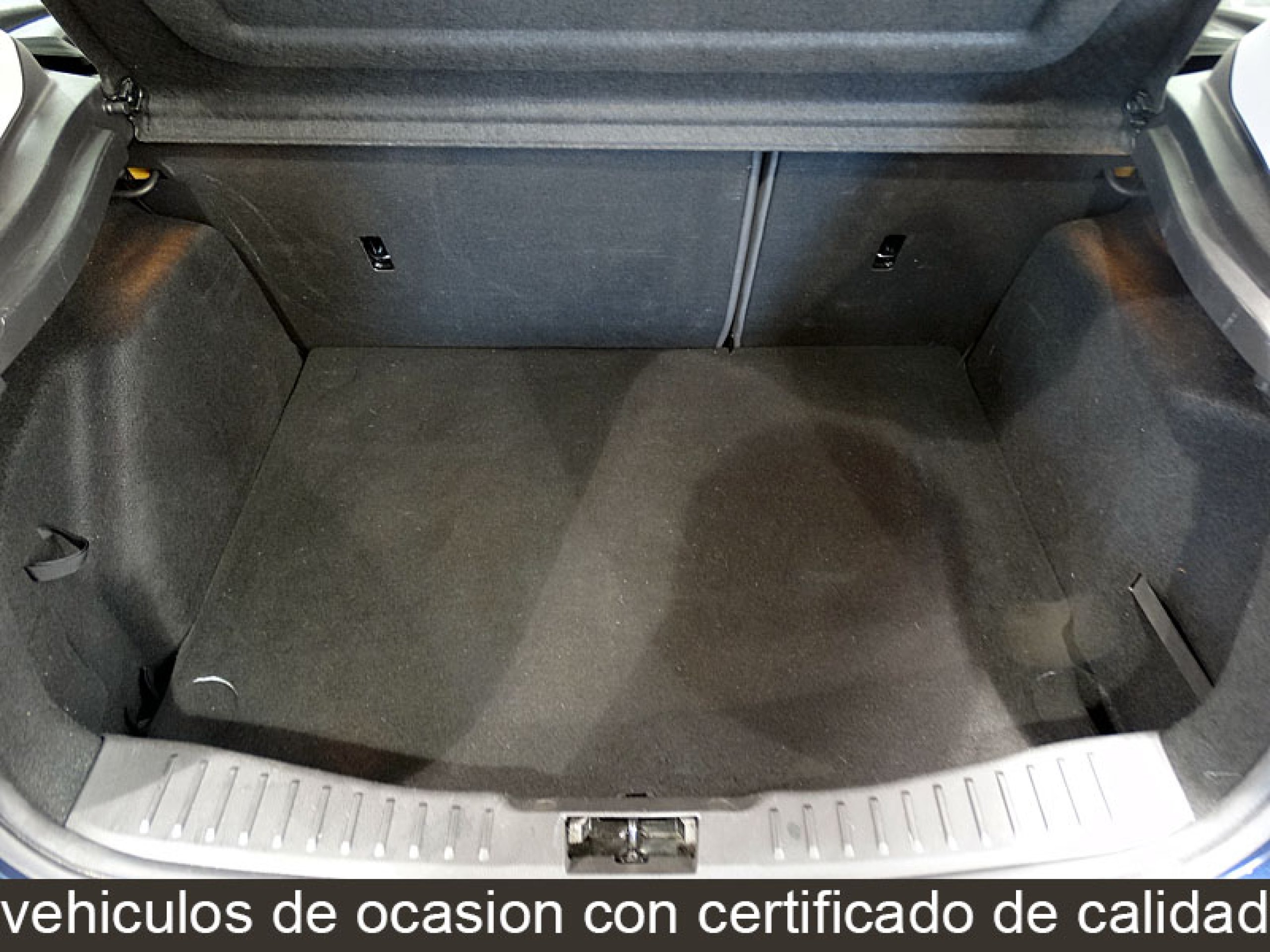 Foto Ford Focus 15