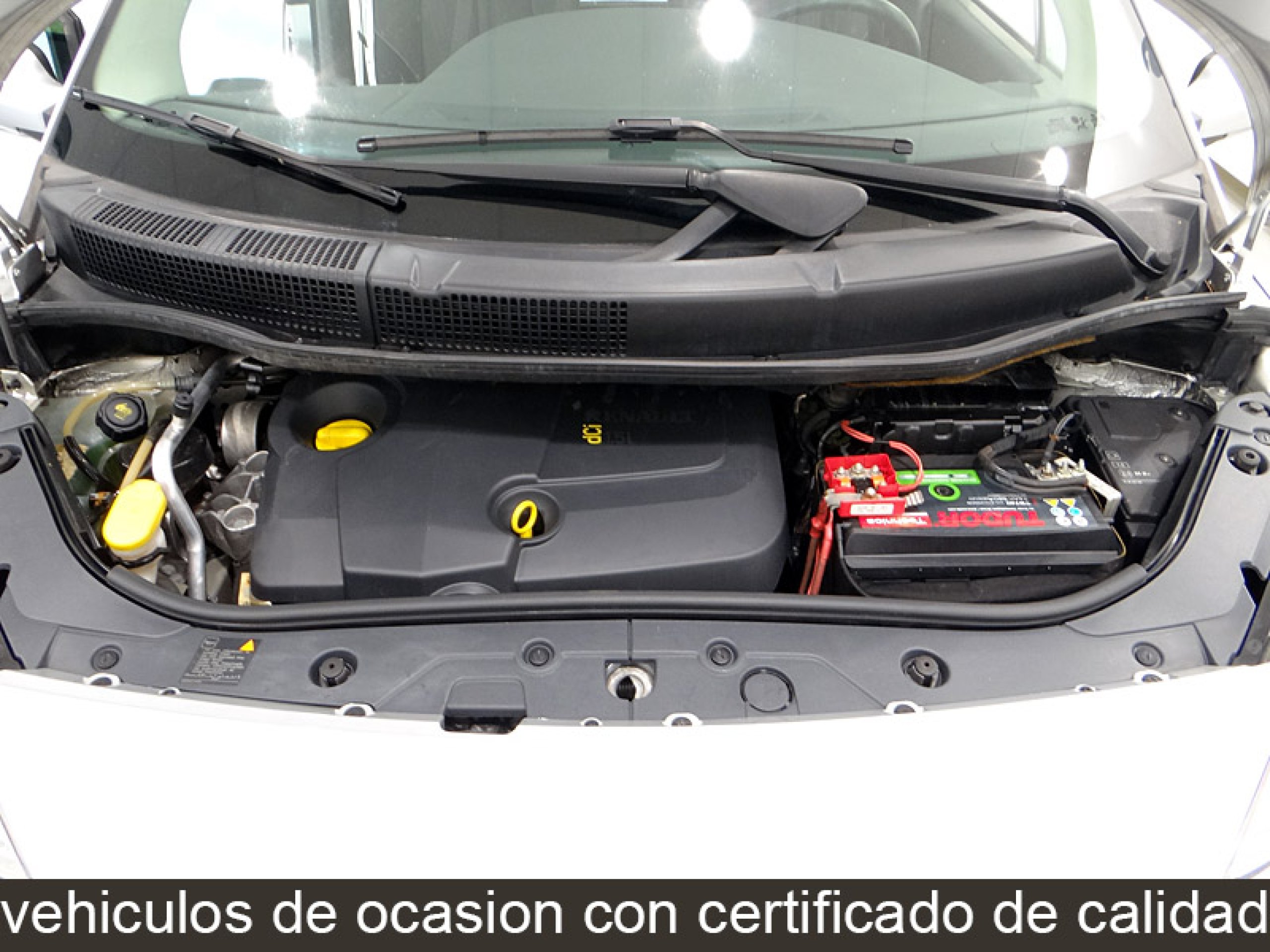 Foto Renault Grand Scenic 12