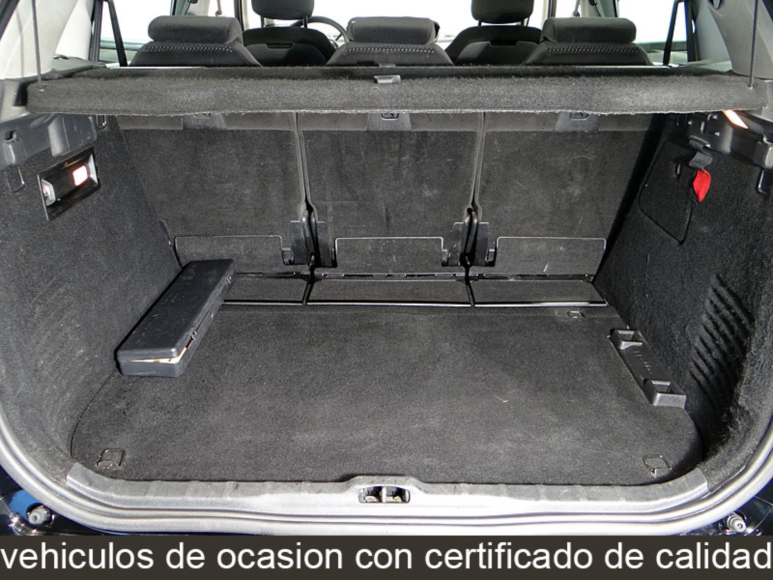 Foto Citroen C4 Picasso 12