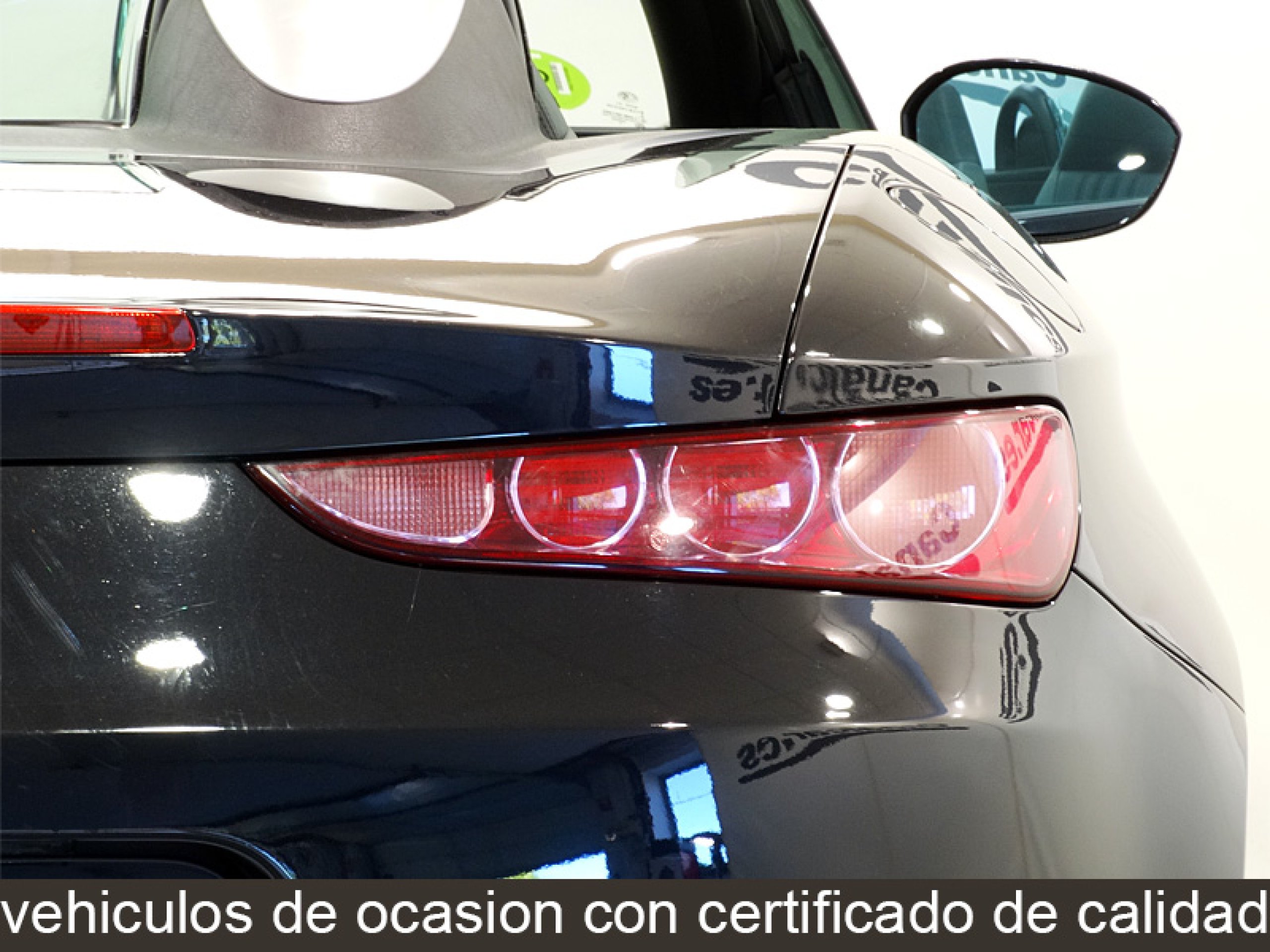 Foto Alfa Romeo Spider 16
