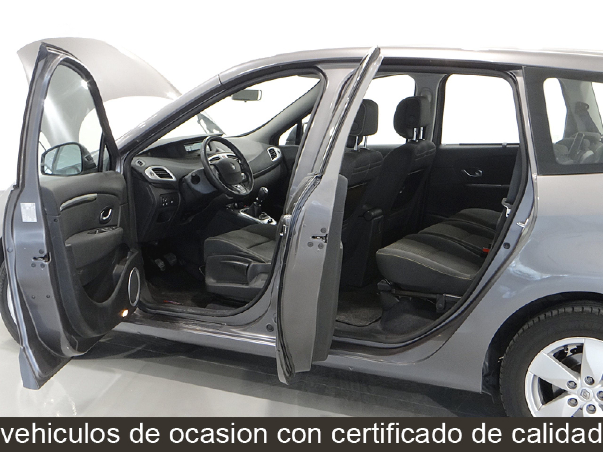 Foto Renault Grand Scenic 14