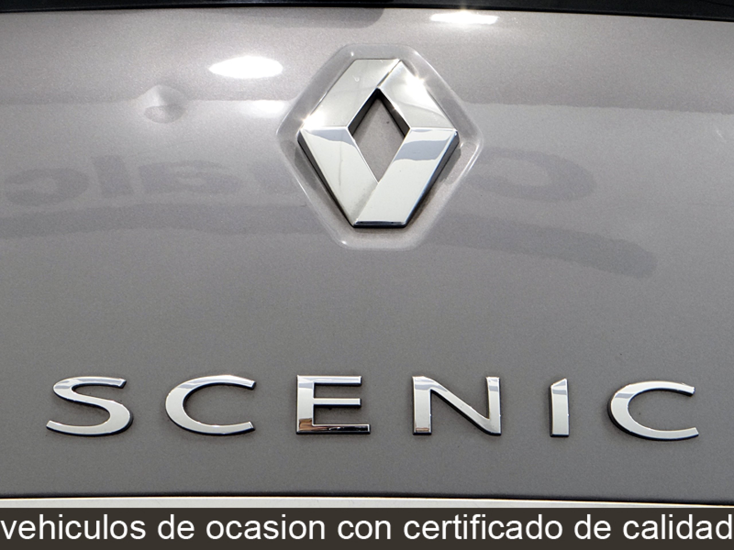 Foto Renault Grand Scenic 19