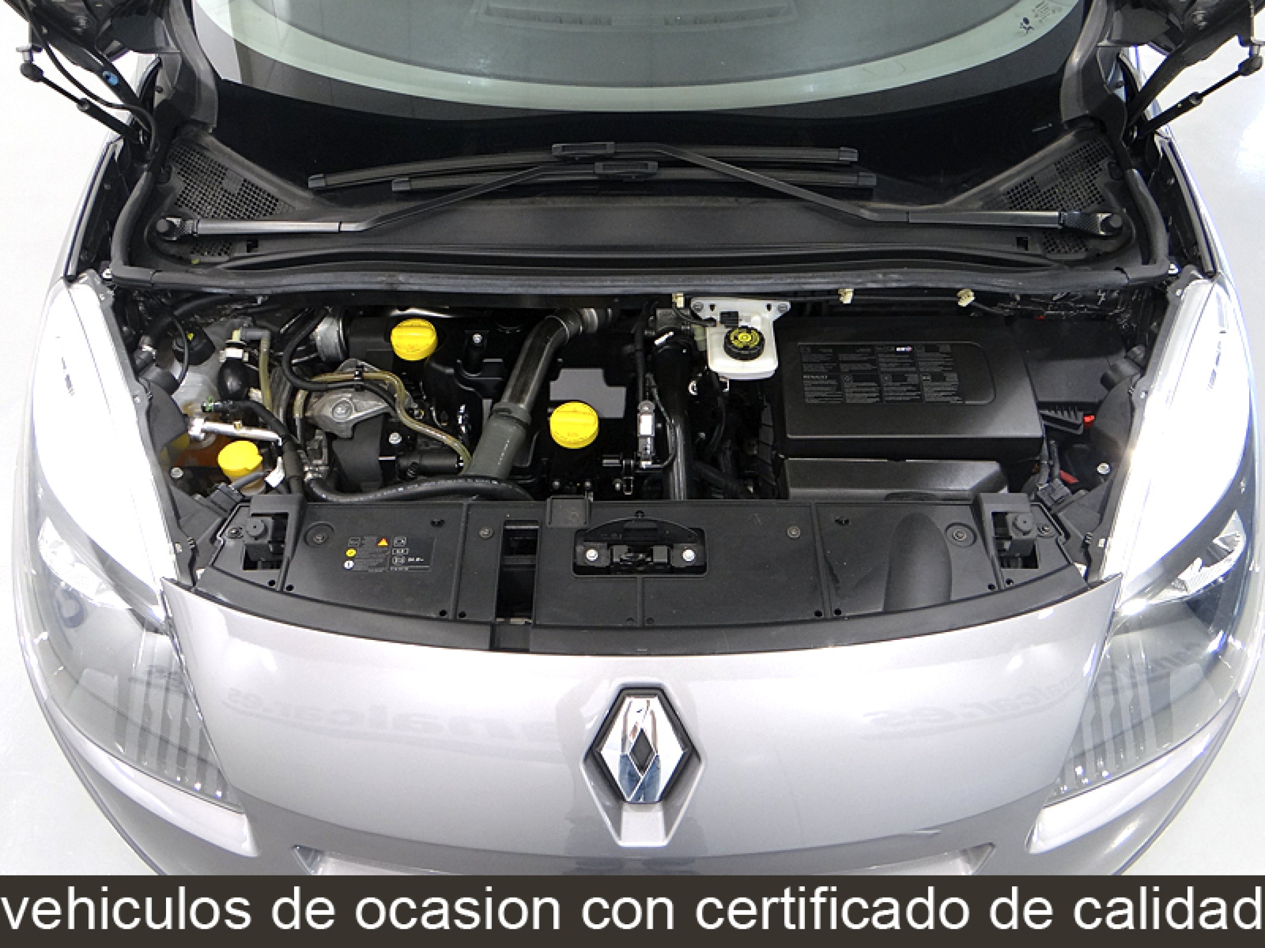 Foto Renault Grand Scenic 21