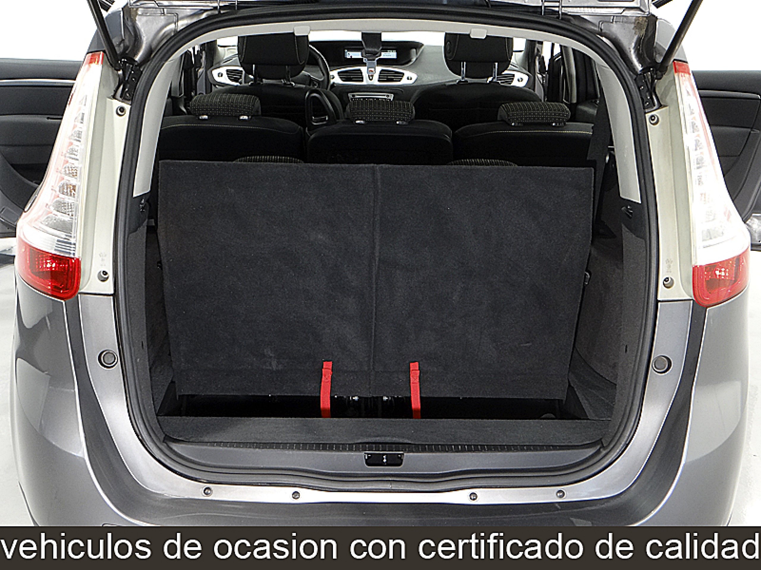 Foto Renault Grand Scenic 22