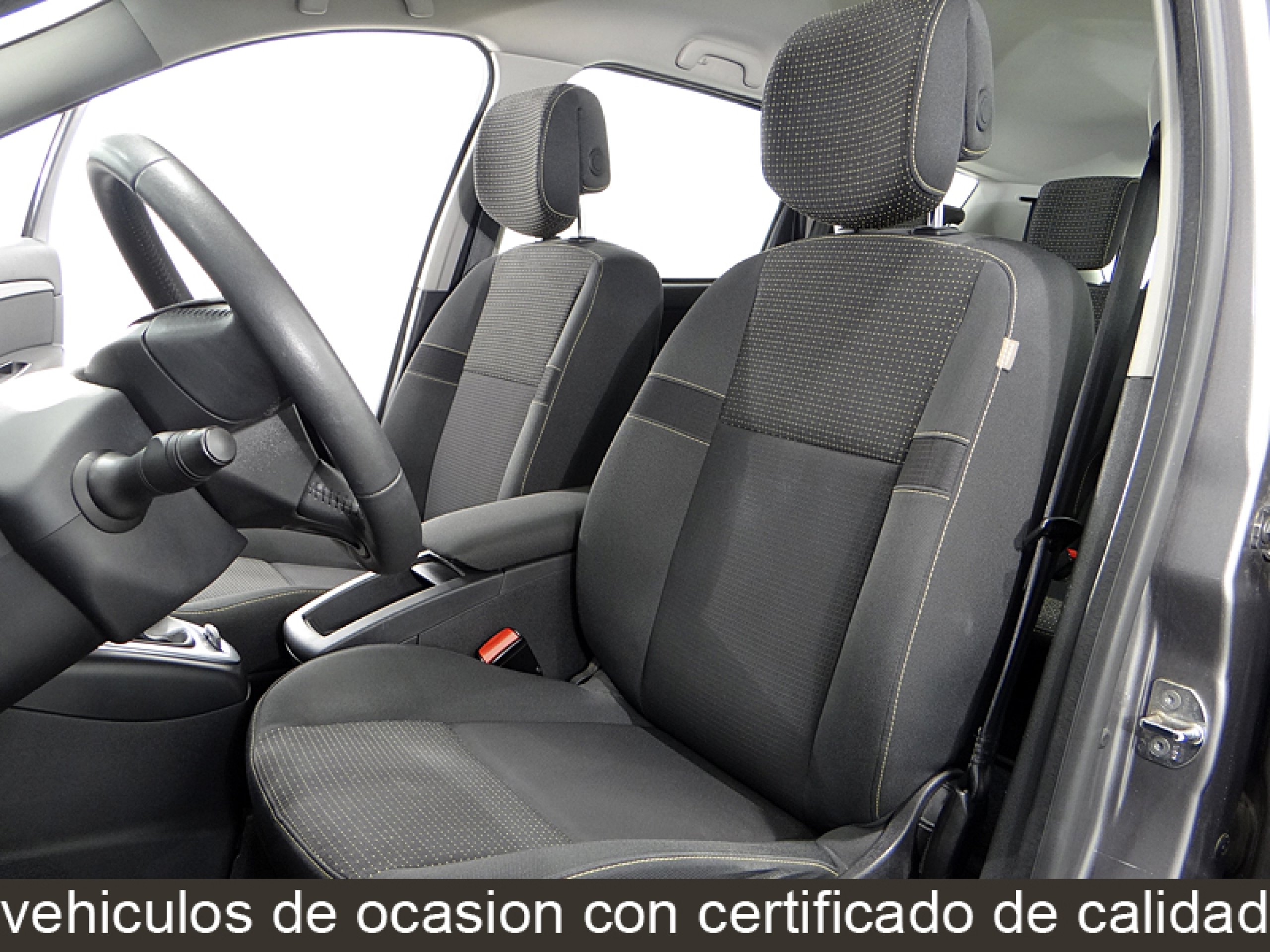 Foto Renault Grand Scenic 23