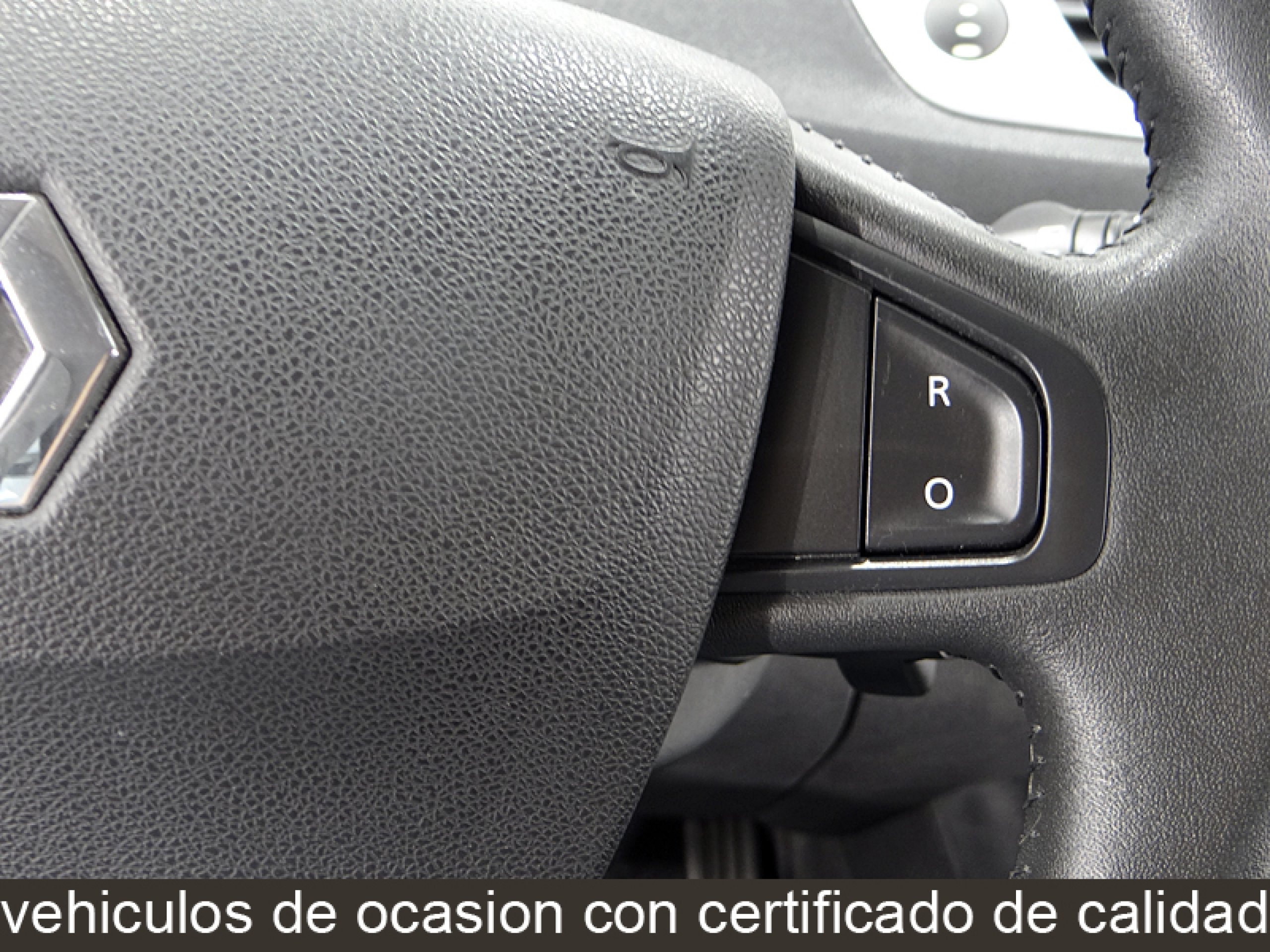 Foto Renault Grand Scenic 38