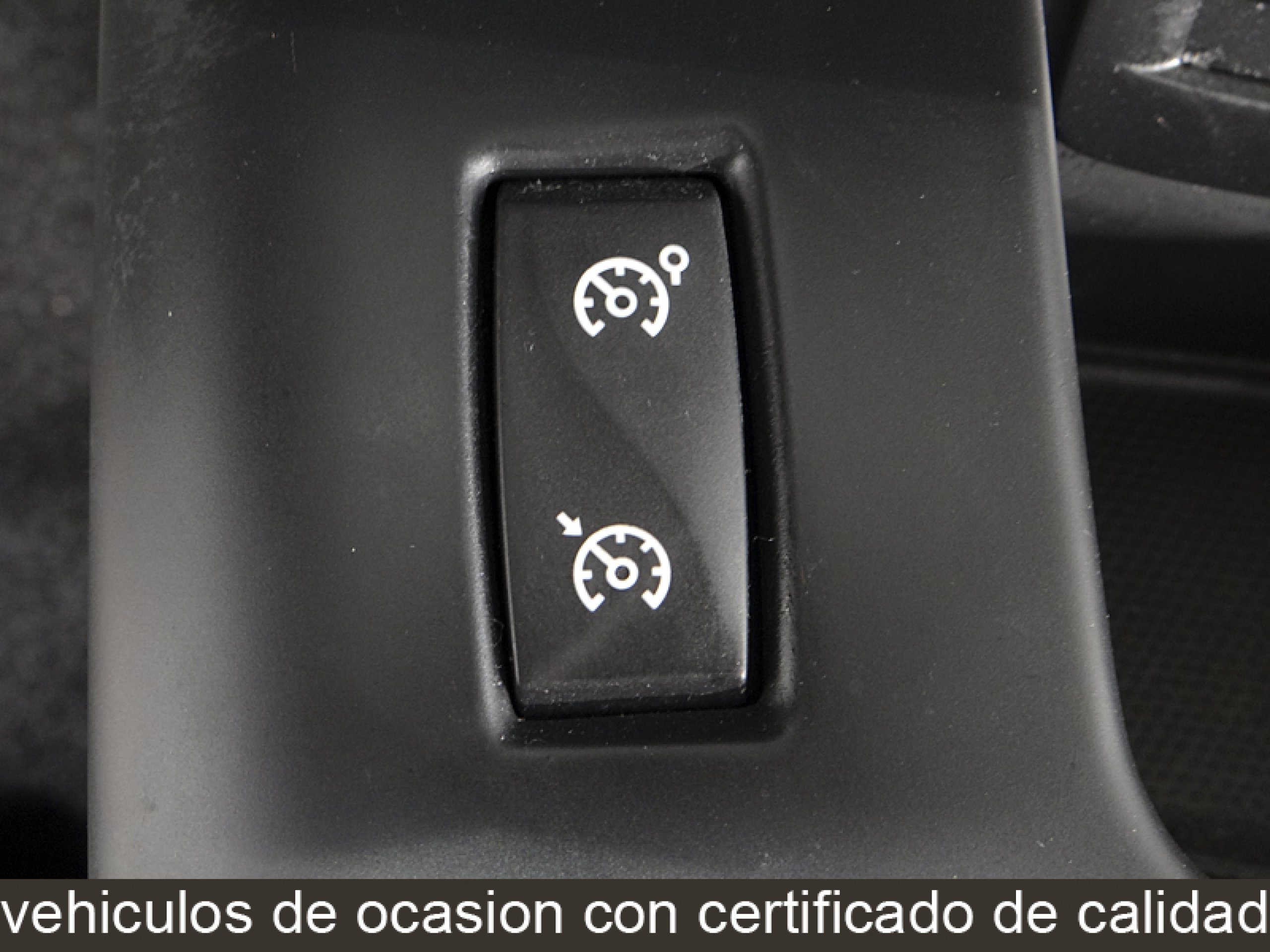 Foto Renault Grand Scenic 39