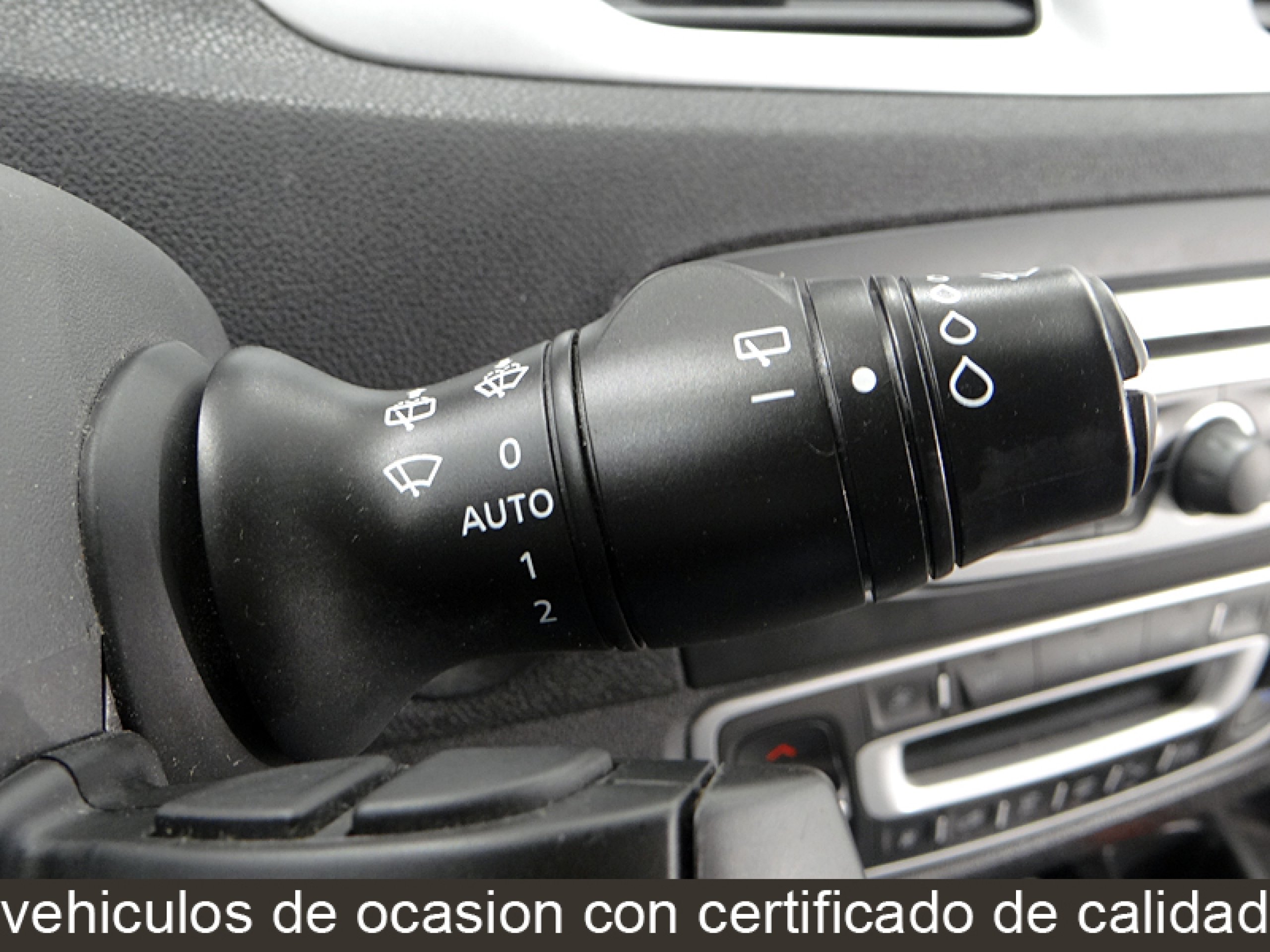 Foto Renault Grand Scenic 42