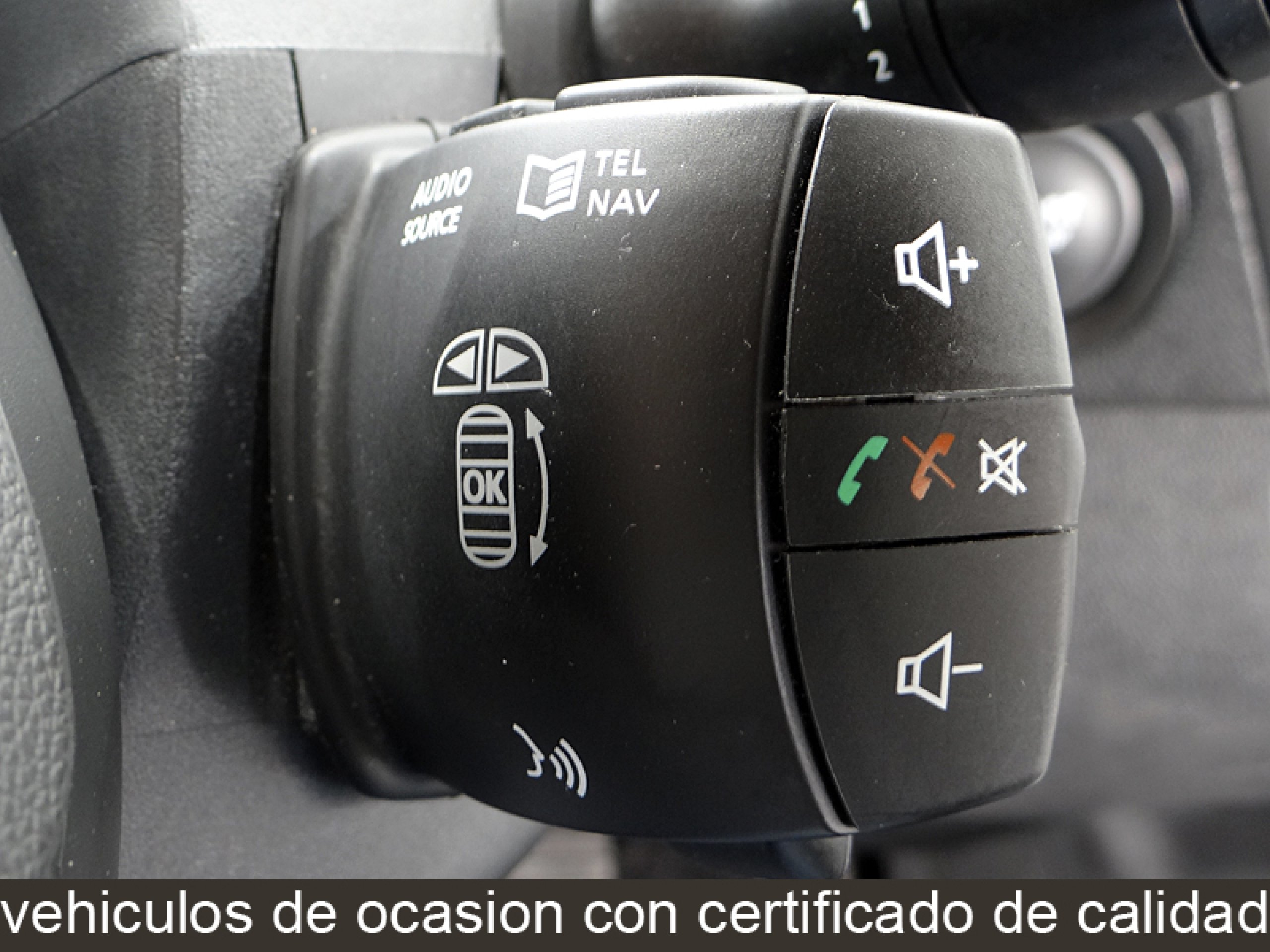 Foto Renault Grand Scenic 43