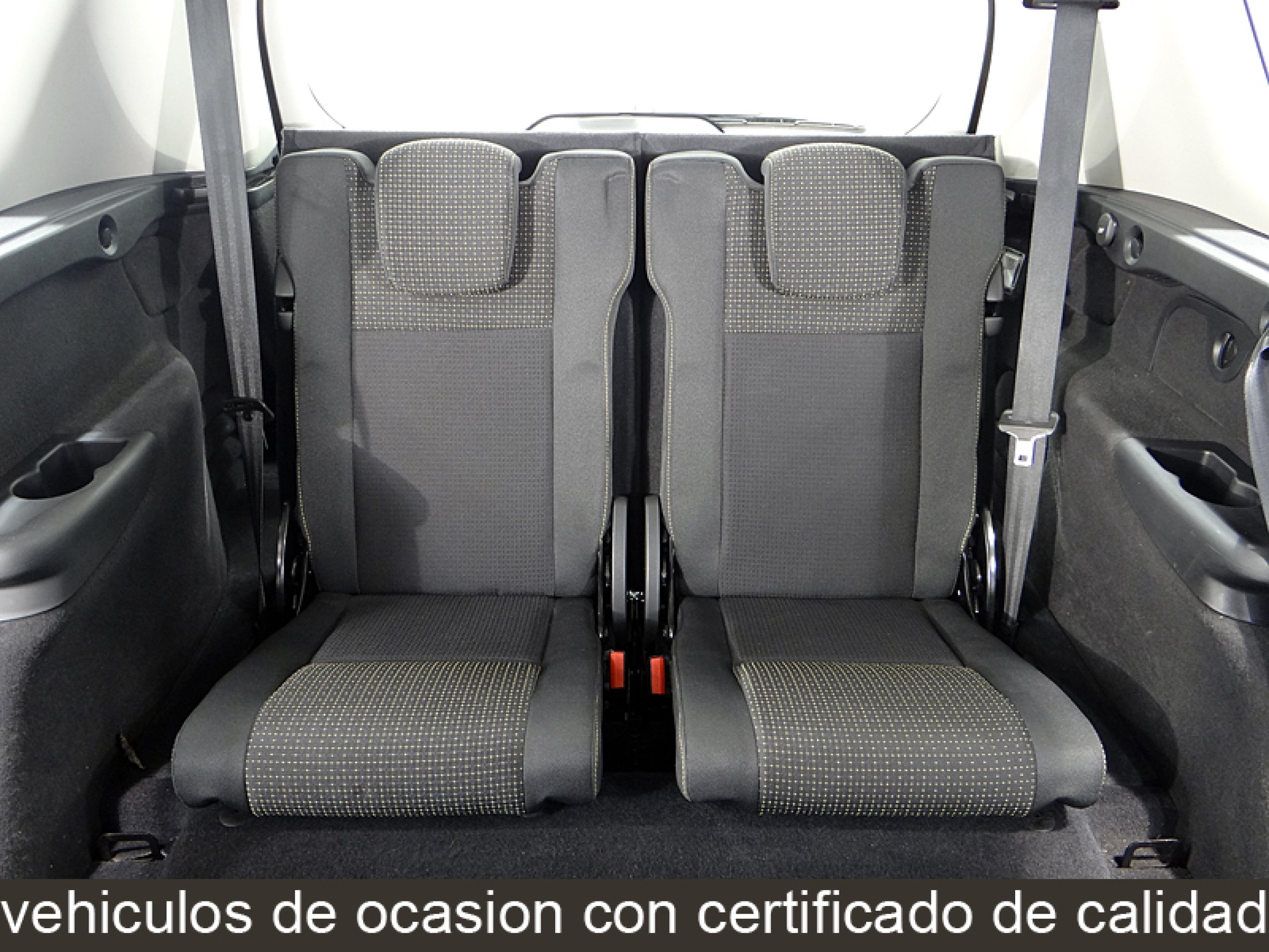 Foto Renault Grand Scenic 44