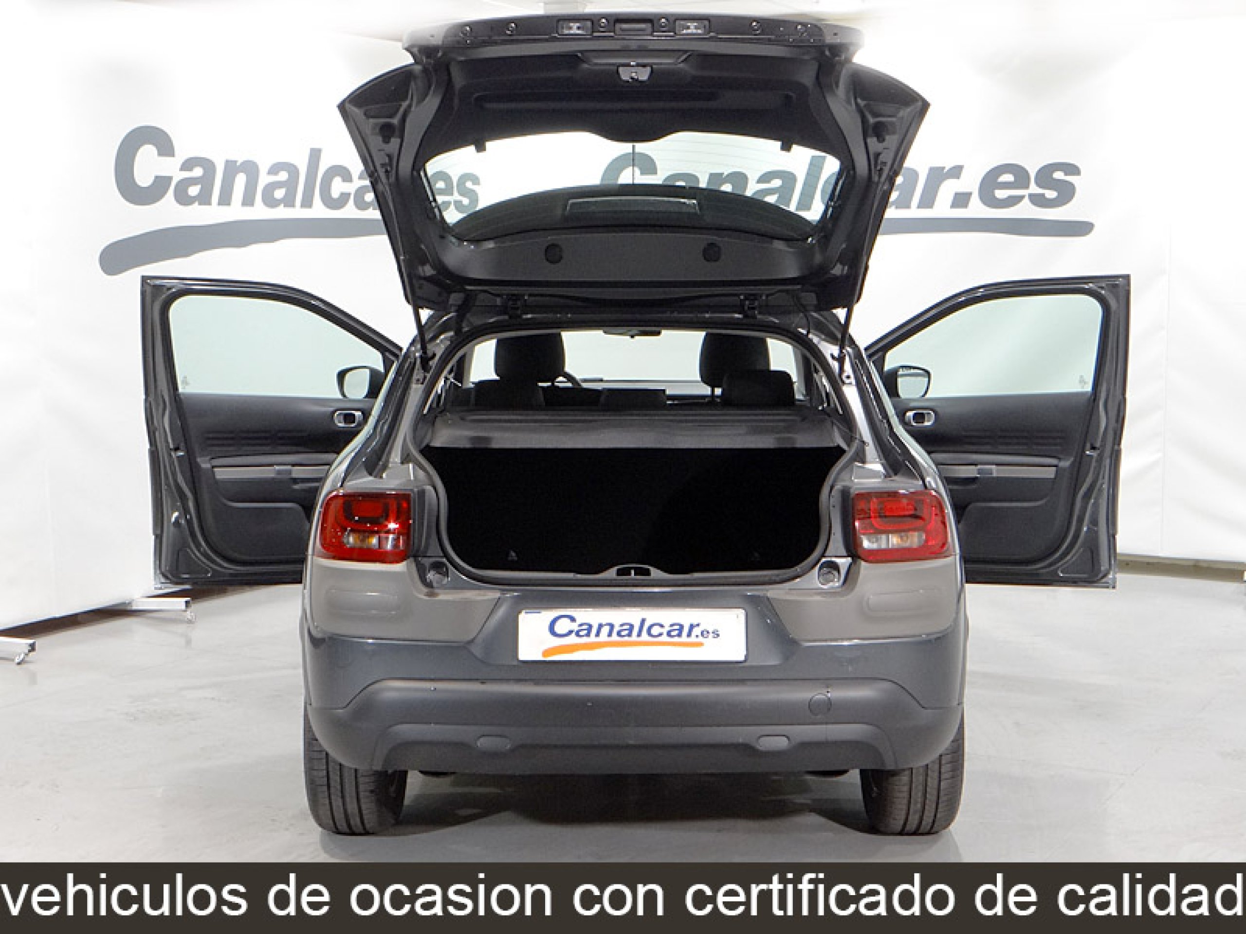Foto Citroen C4 Cactus 8