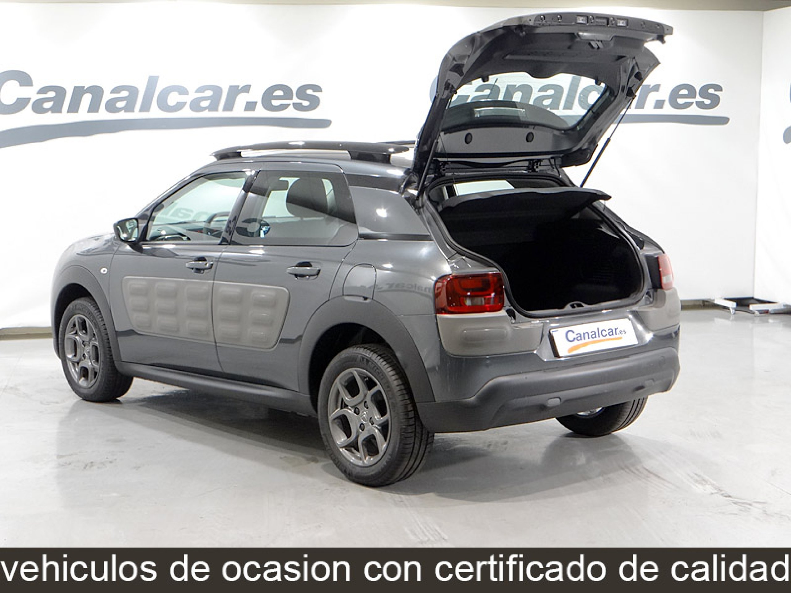Foto Citroen C4 Cactus 9