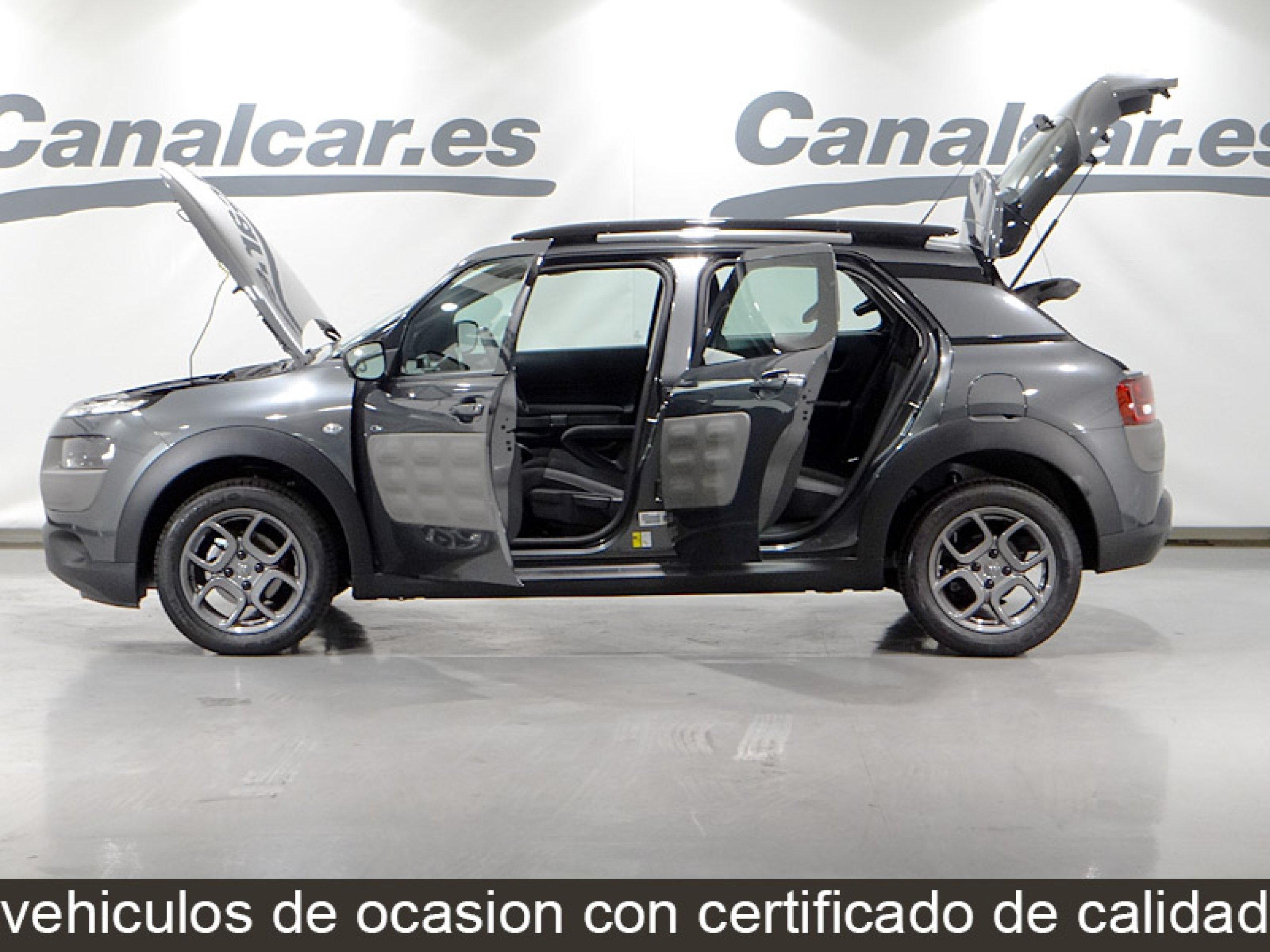 Foto Citroen C4 Cactus 12
