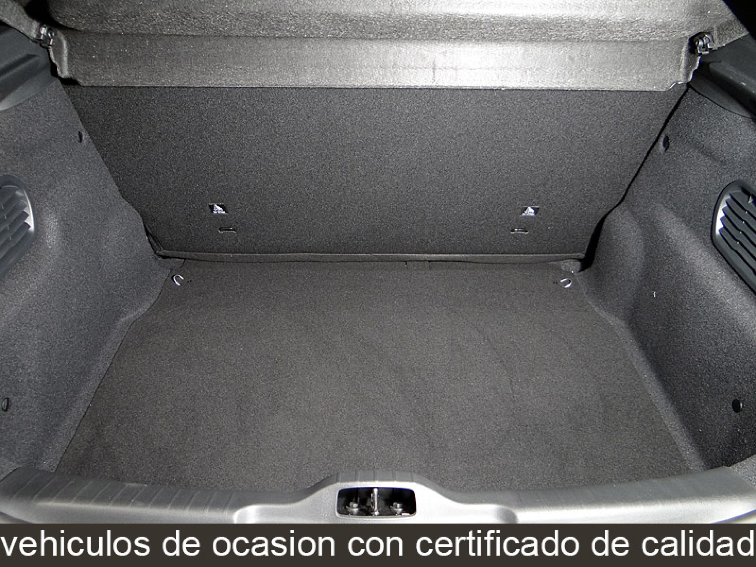 Foto Citroen C4 Cactus 14