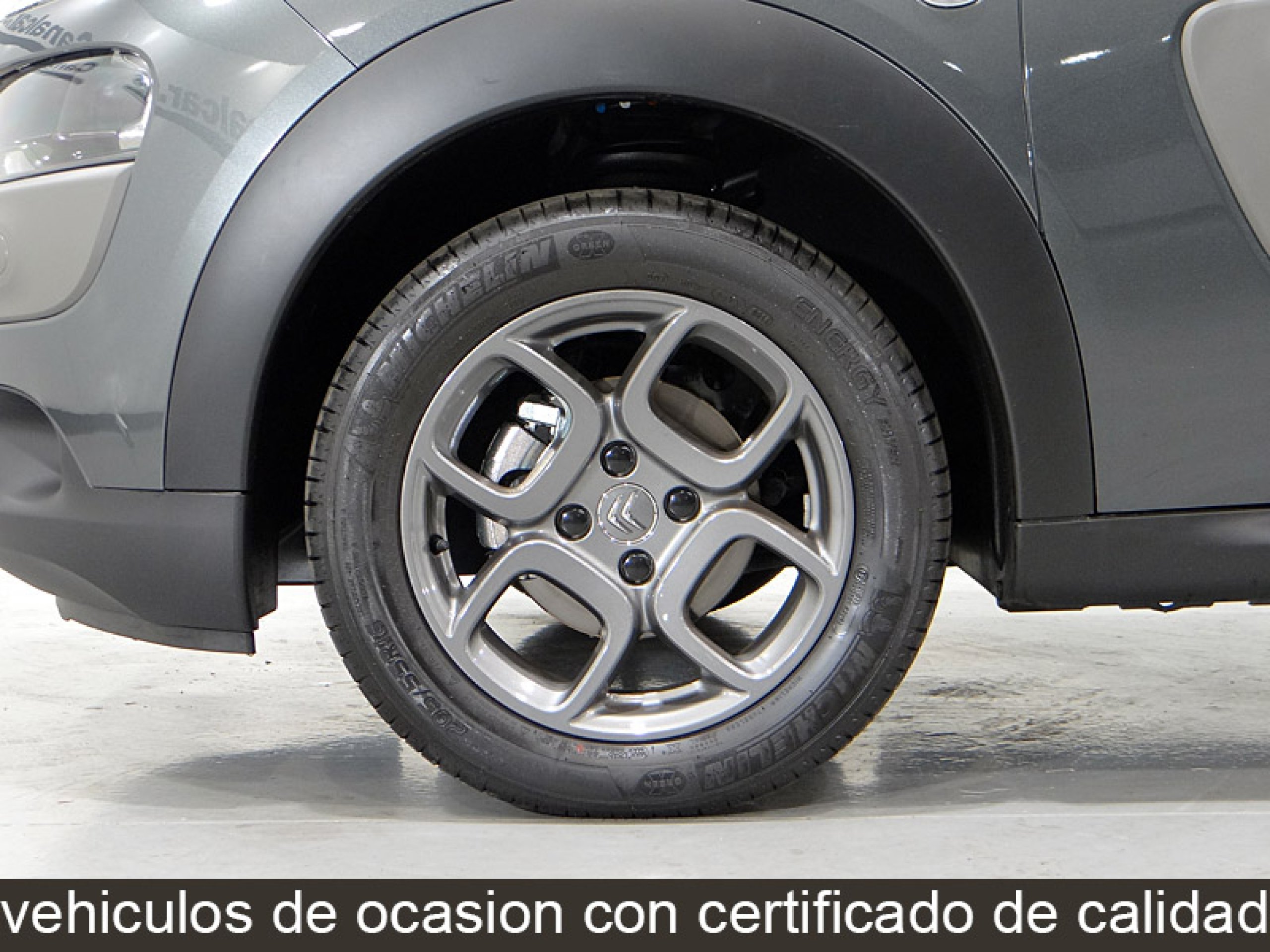 Foto Citroen C4 Cactus 15