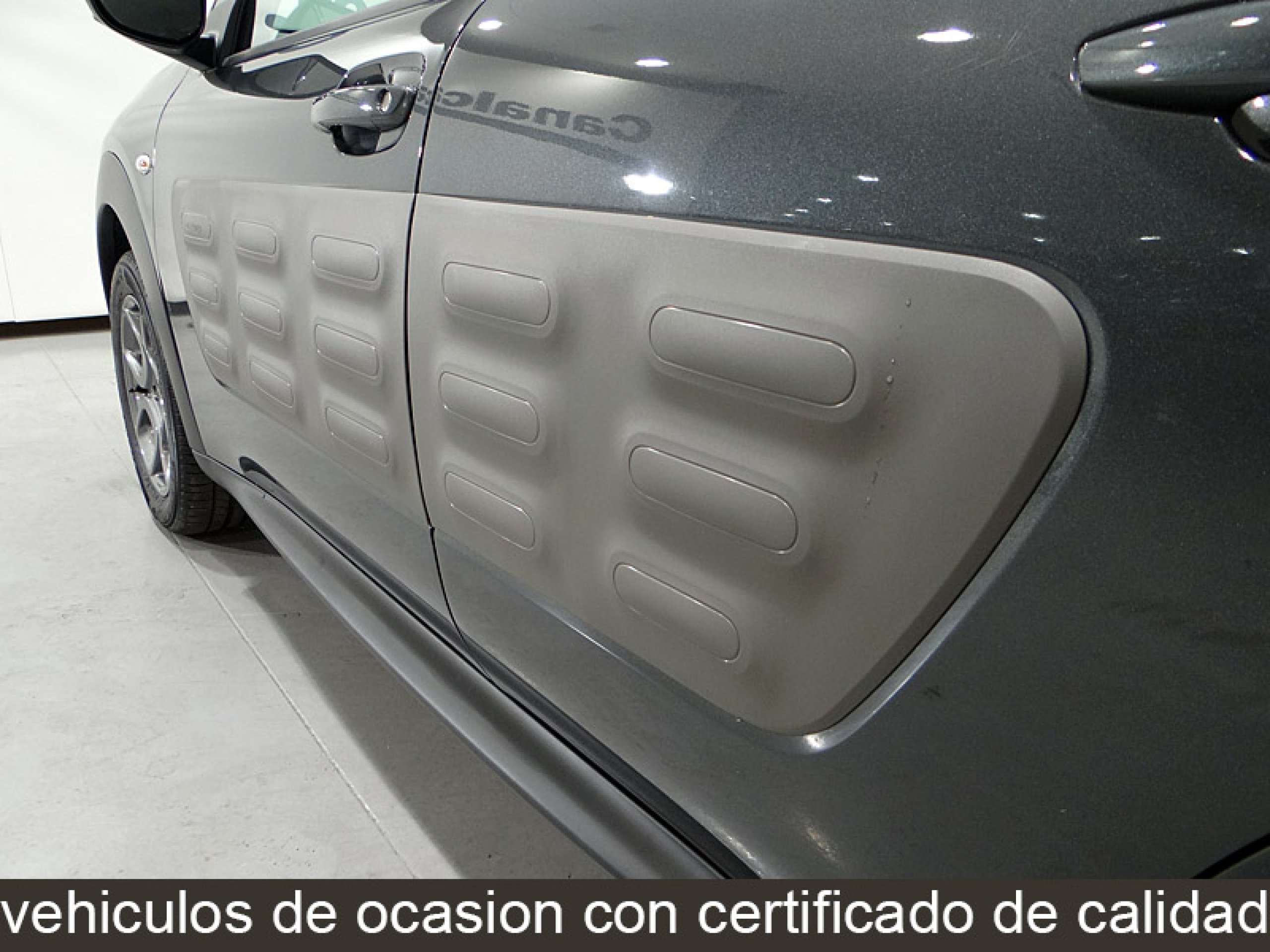Foto Citroen C4 Cactus 17