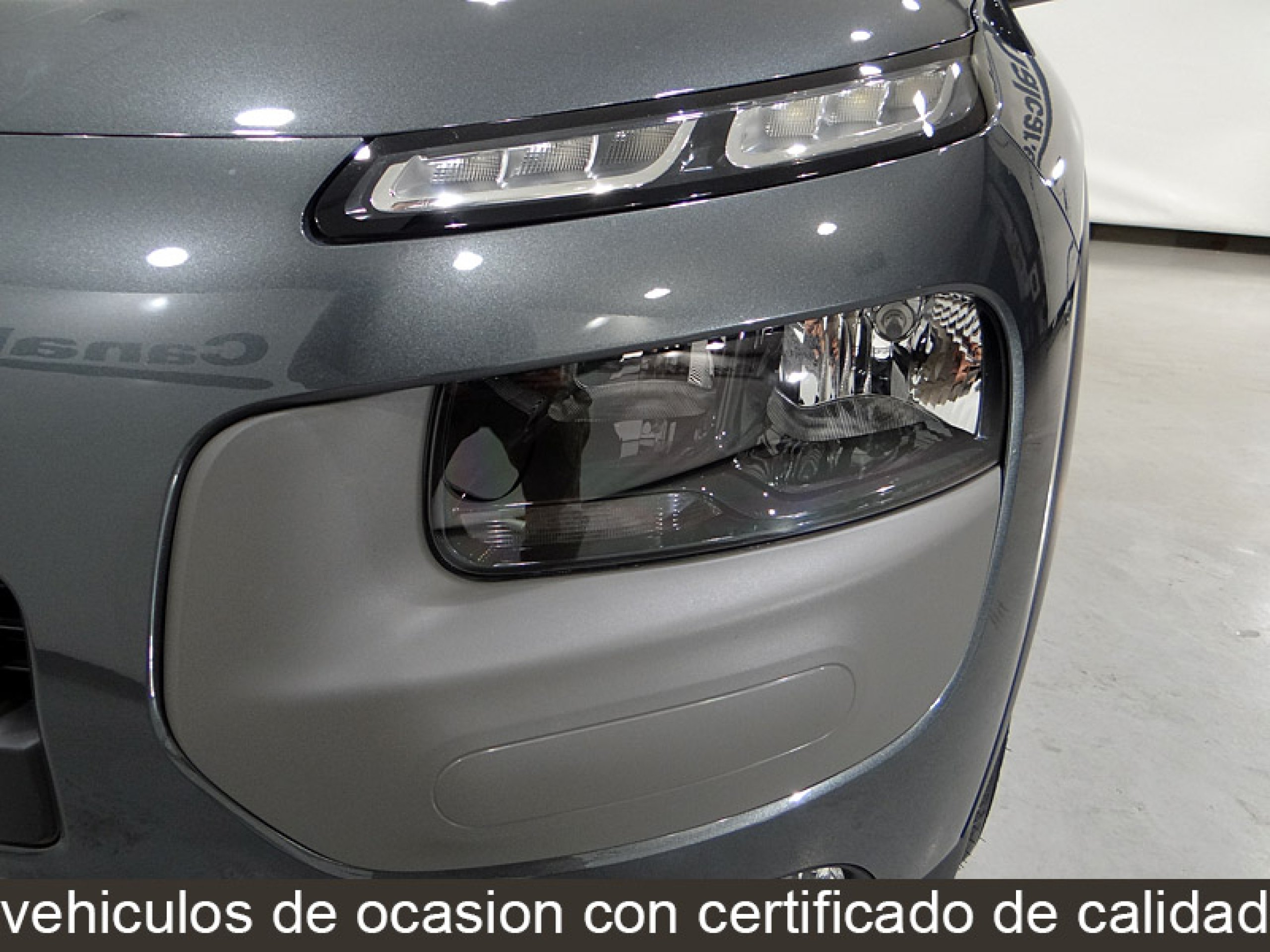 Foto Citroen C4 Cactus 22