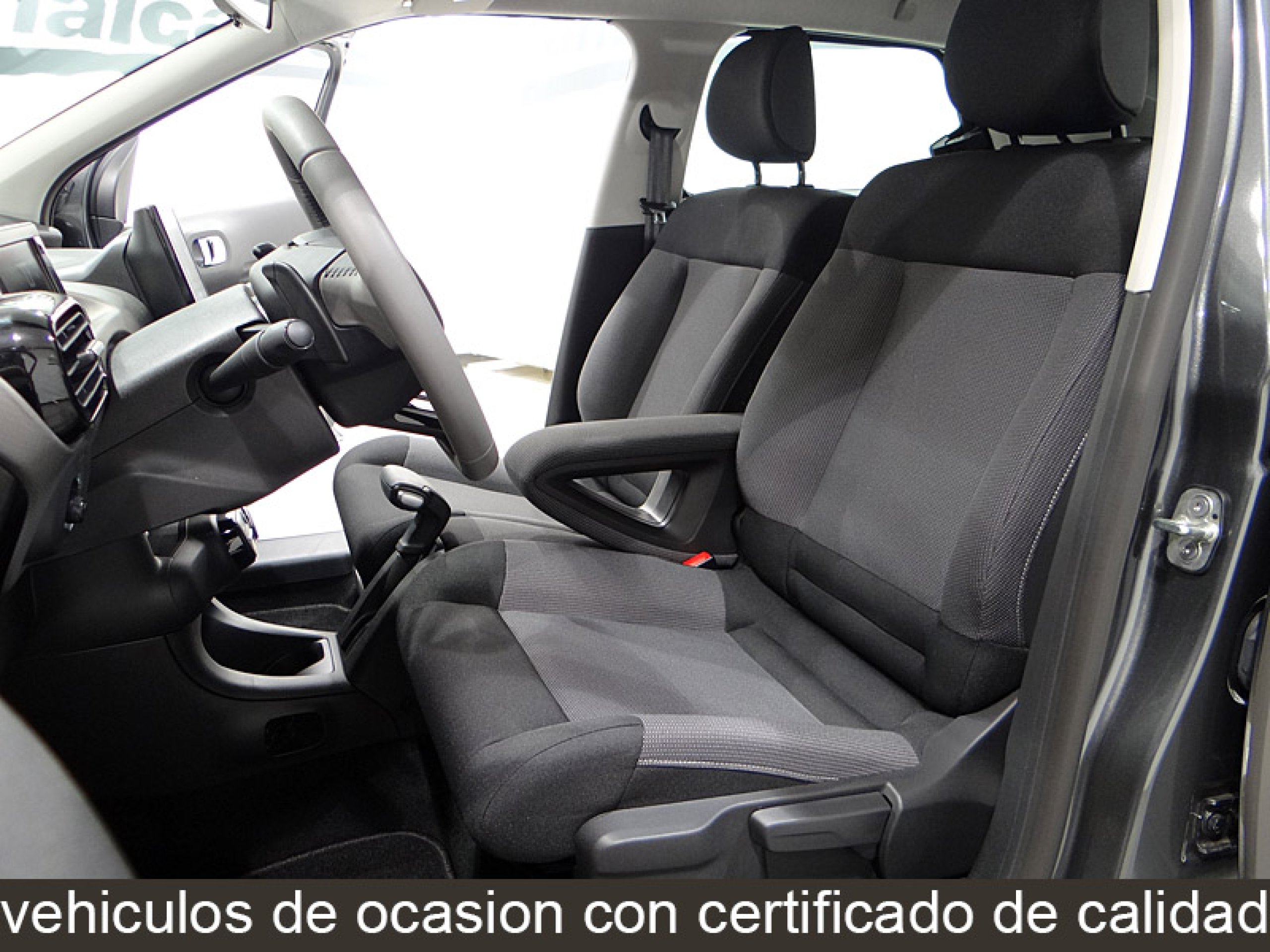 Foto Citroen C4 Cactus 24